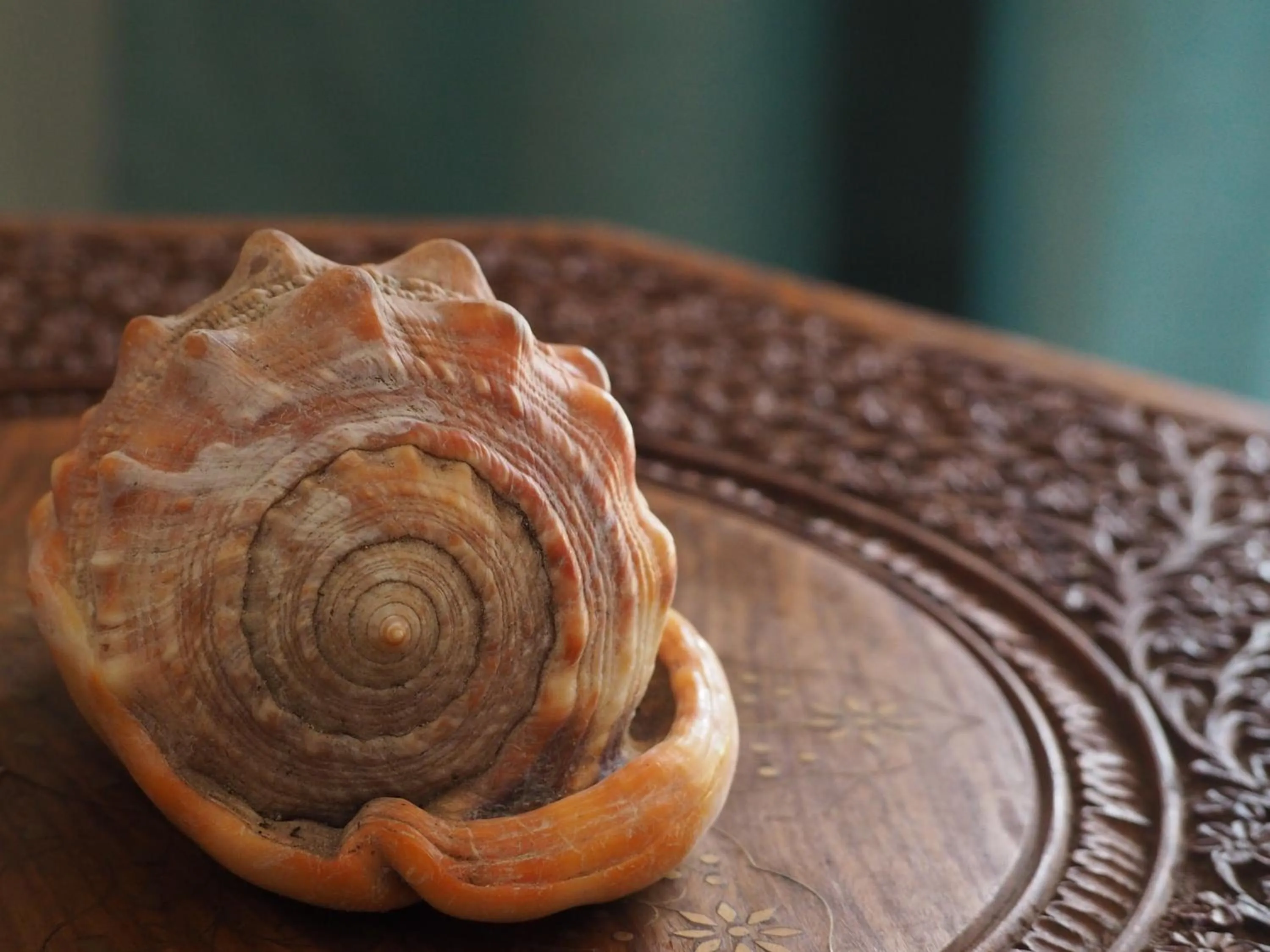 Decorative detail in Tikitam Palms Boutique Hotel