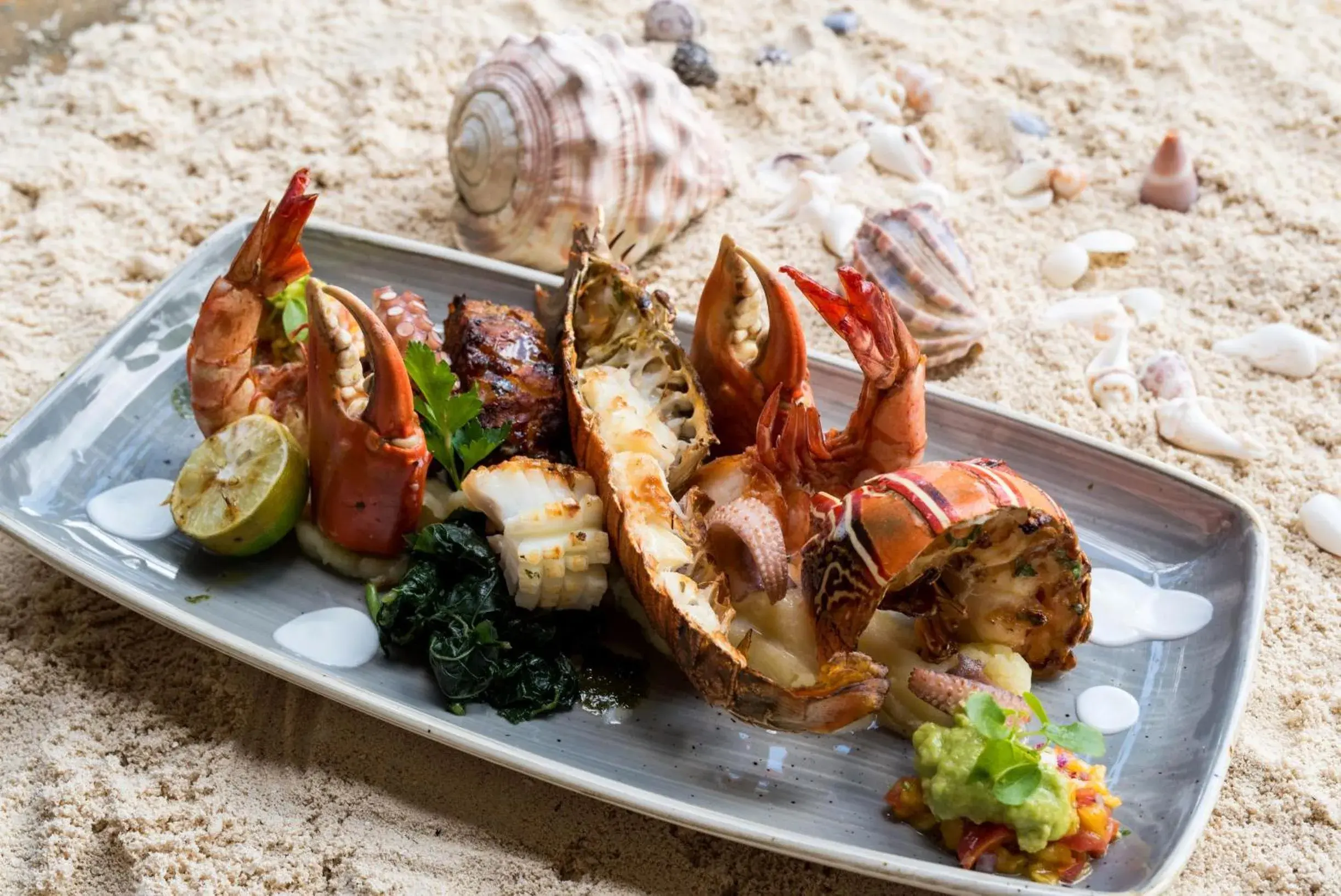 Property building in Tikitam Palms Boutique Hotel Property building in Tikitam Palms Boutique Hotel