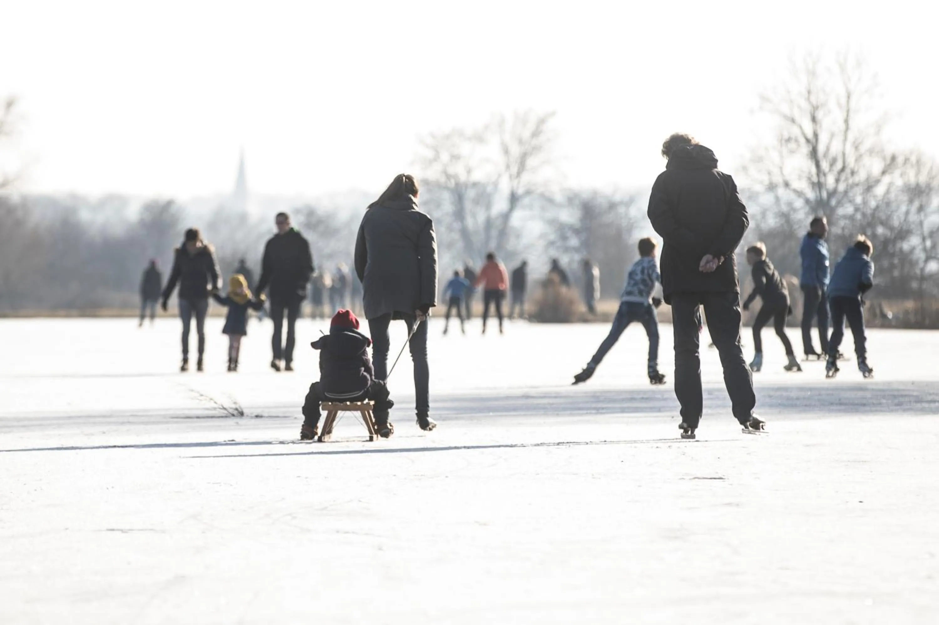 Natural landscape in MERICI Hotel Sittard