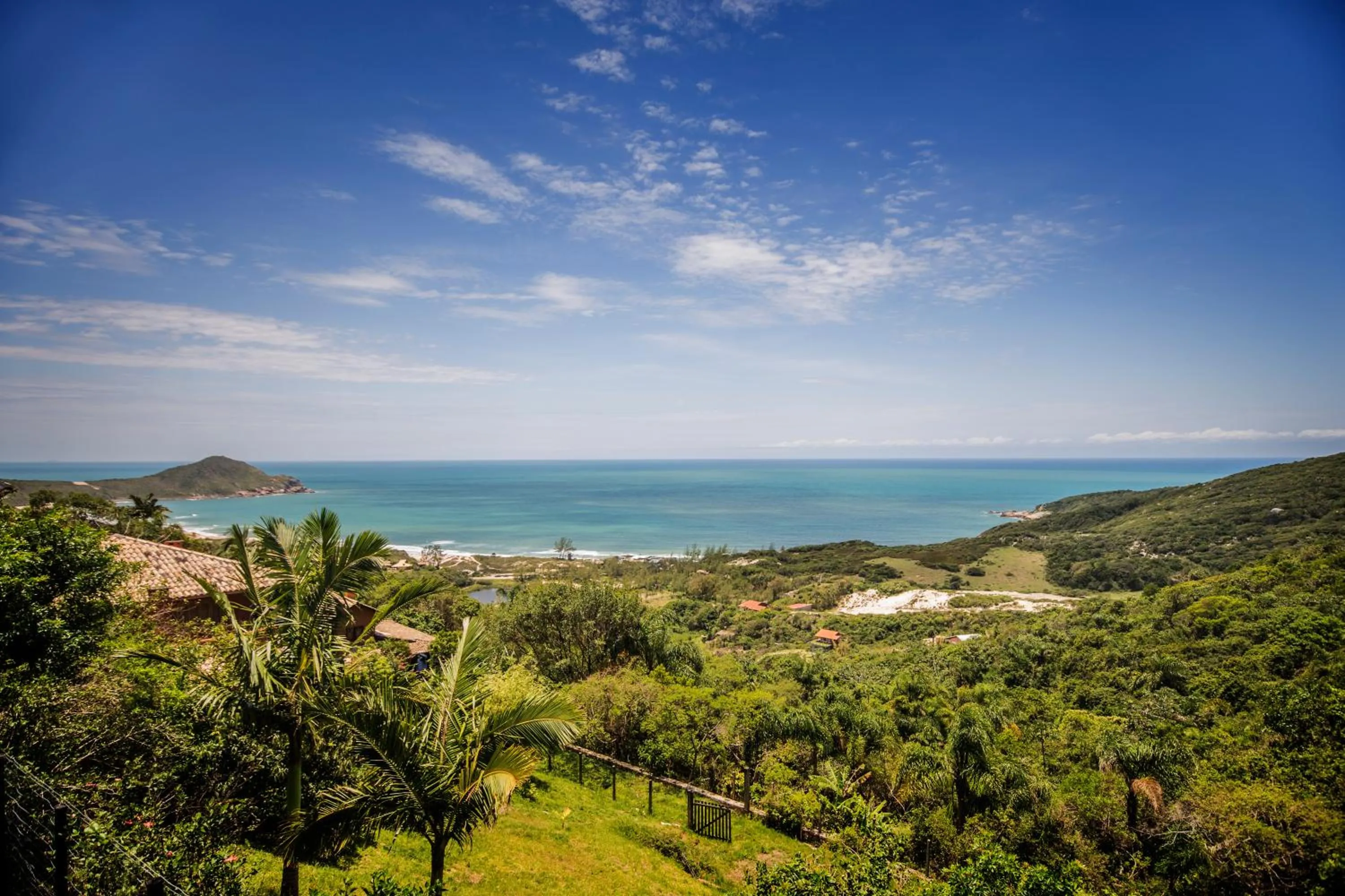 Garden in Villa Buena Vista