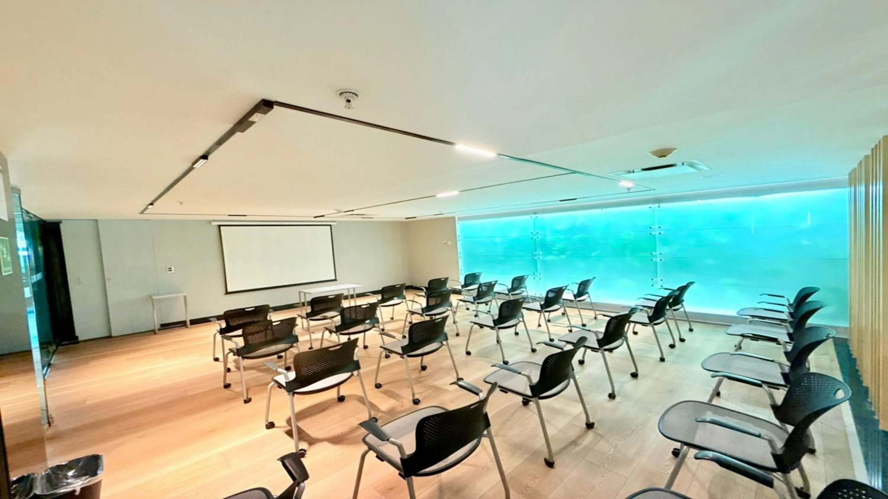 Meeting/conference room in Holiday Inn Express Toluca Galerias Metepec by IHG