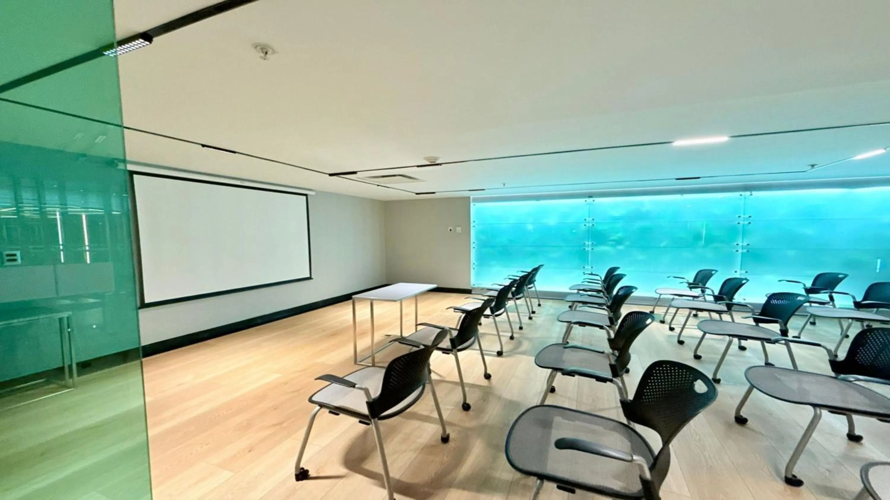 Meeting/conference room in Holiday Inn Express Toluca Galerias Metepec by IHG