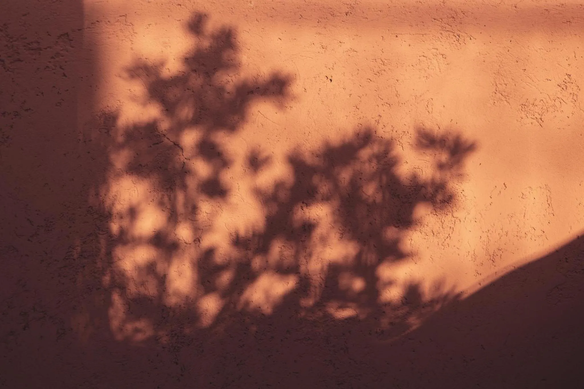 Patio in Riad Dar Elma And Spa