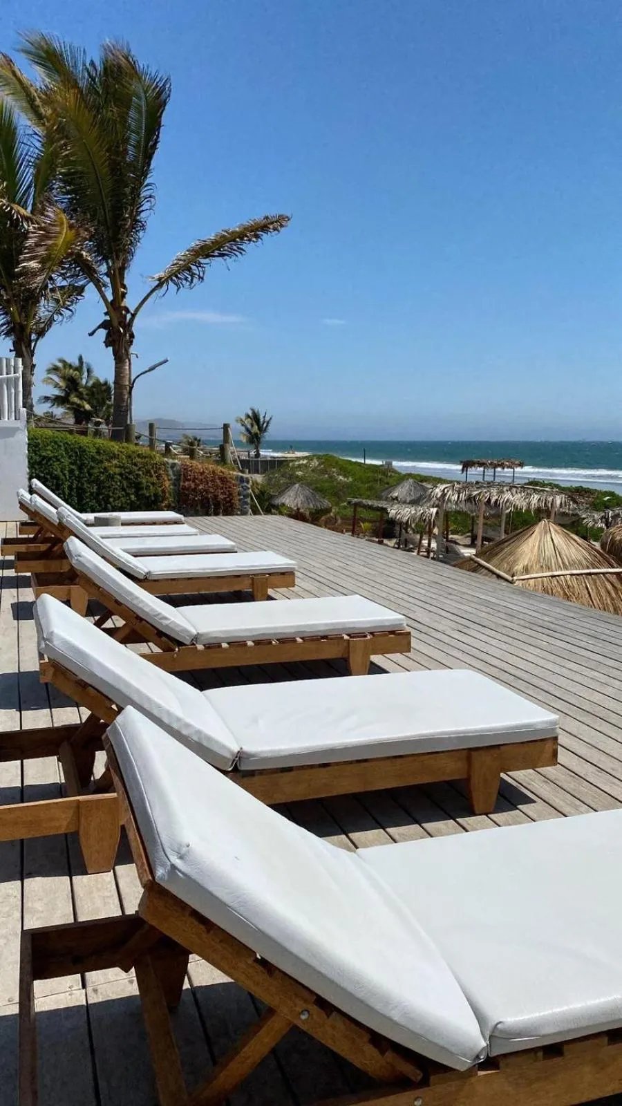 Los Cocos de Vichayito