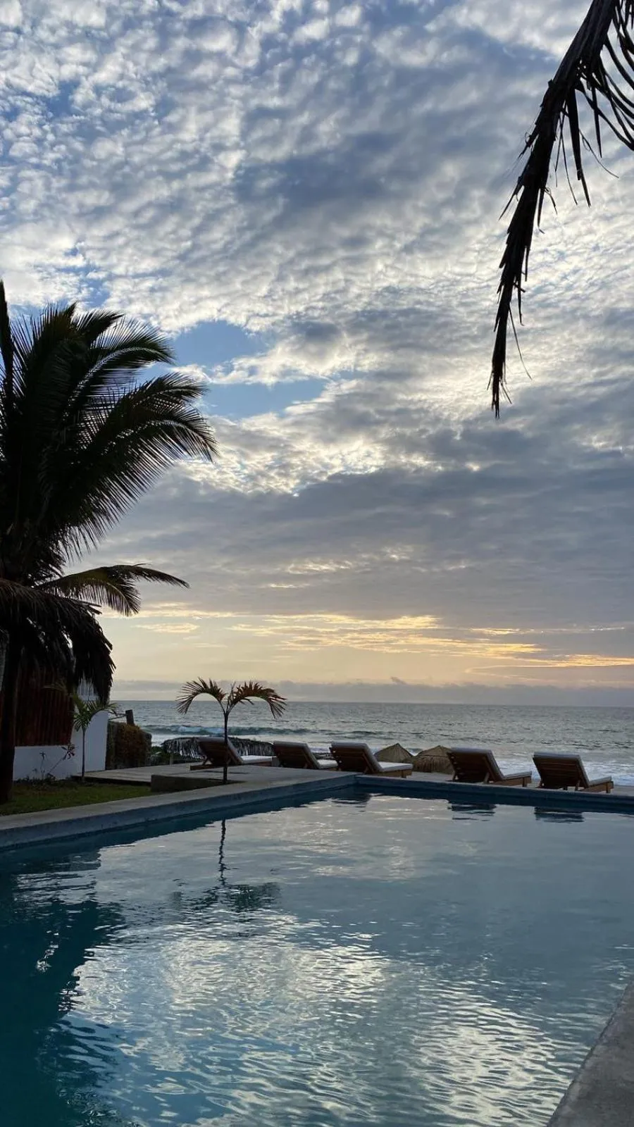 Los Cocos de Vichayito