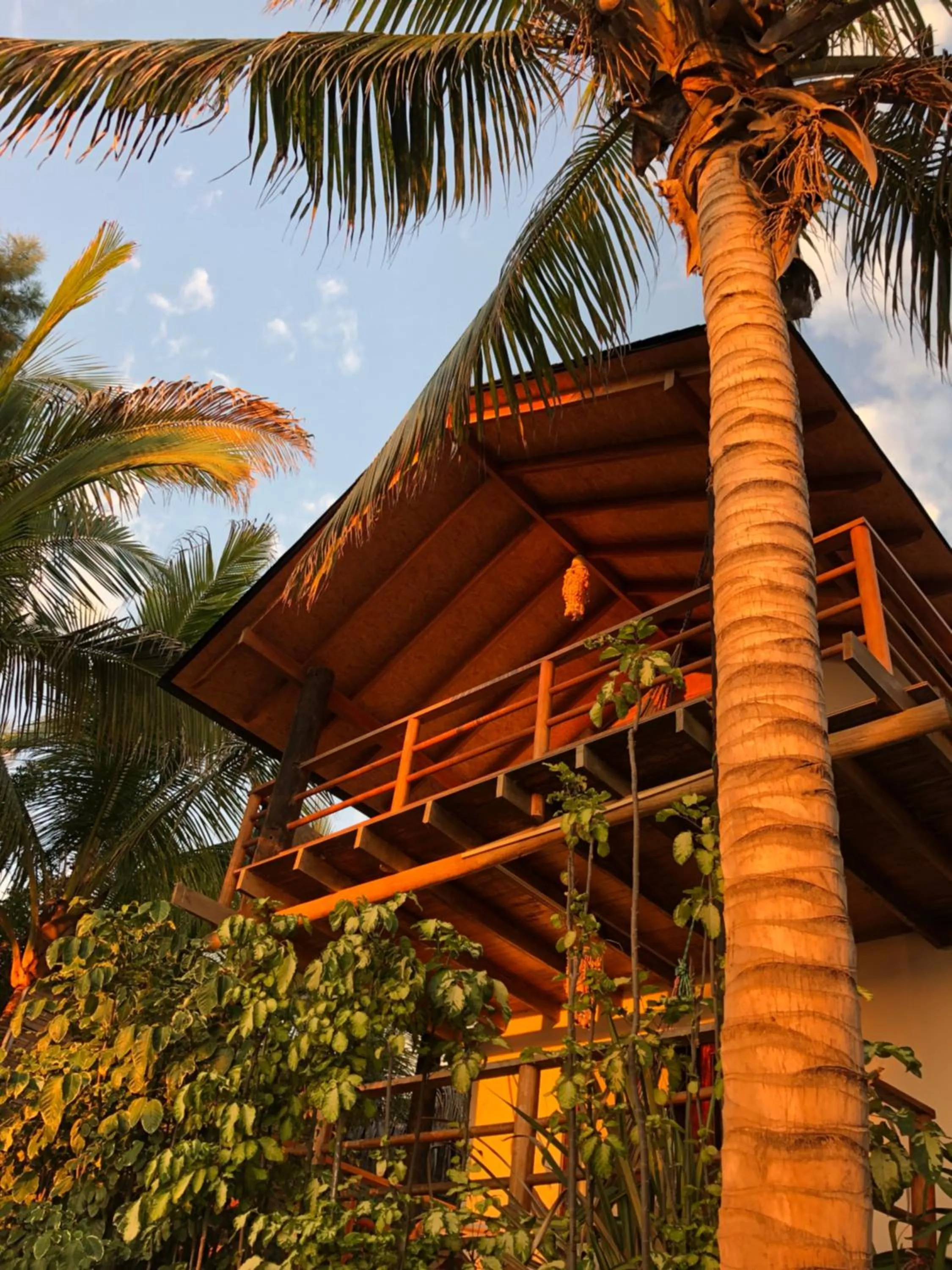 Property building in Los Cocos de Vichayito