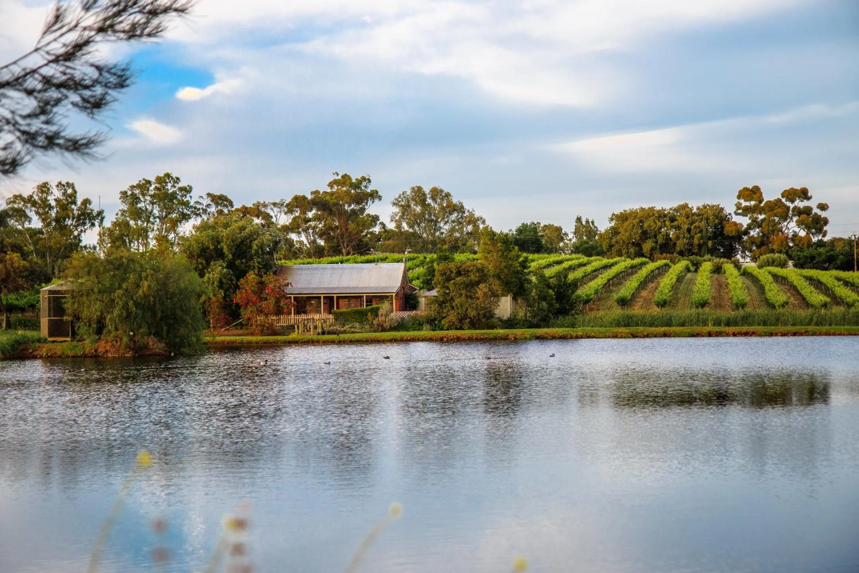 Spring in Stonewell Cottages and Vineyards