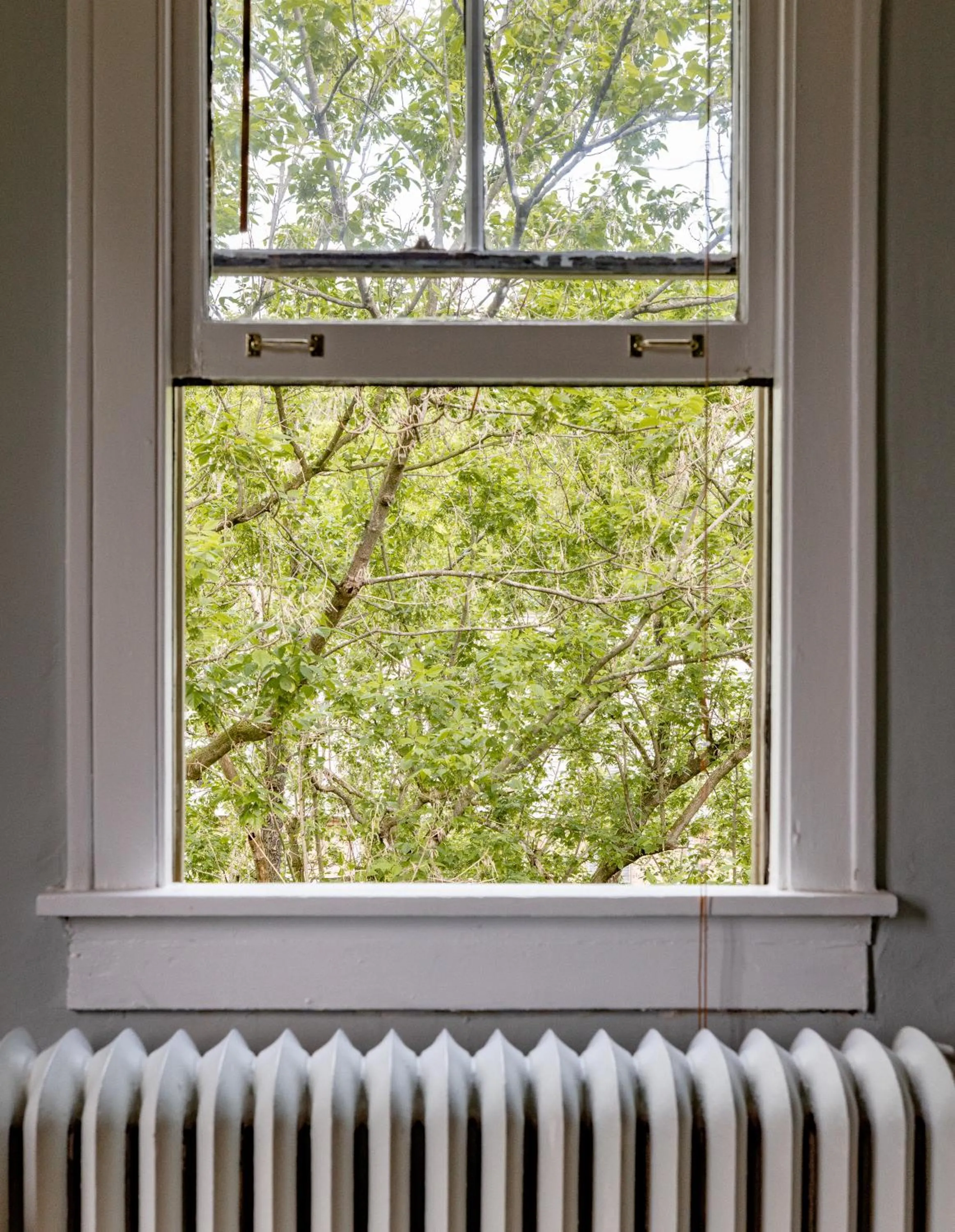 Day in Princess Anne Boutique Hotel