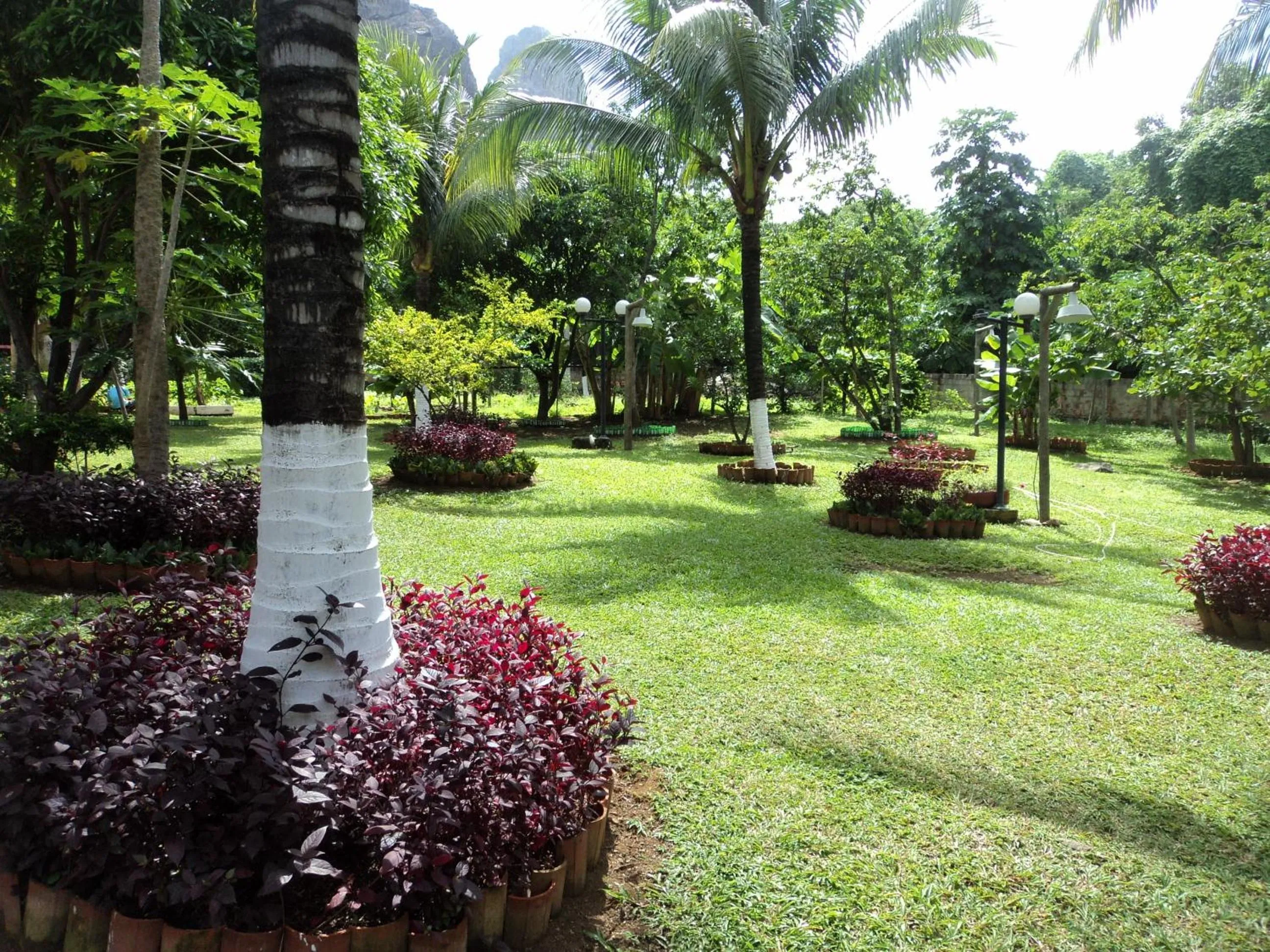 Day in Ecocharme Pousada do Marcilio