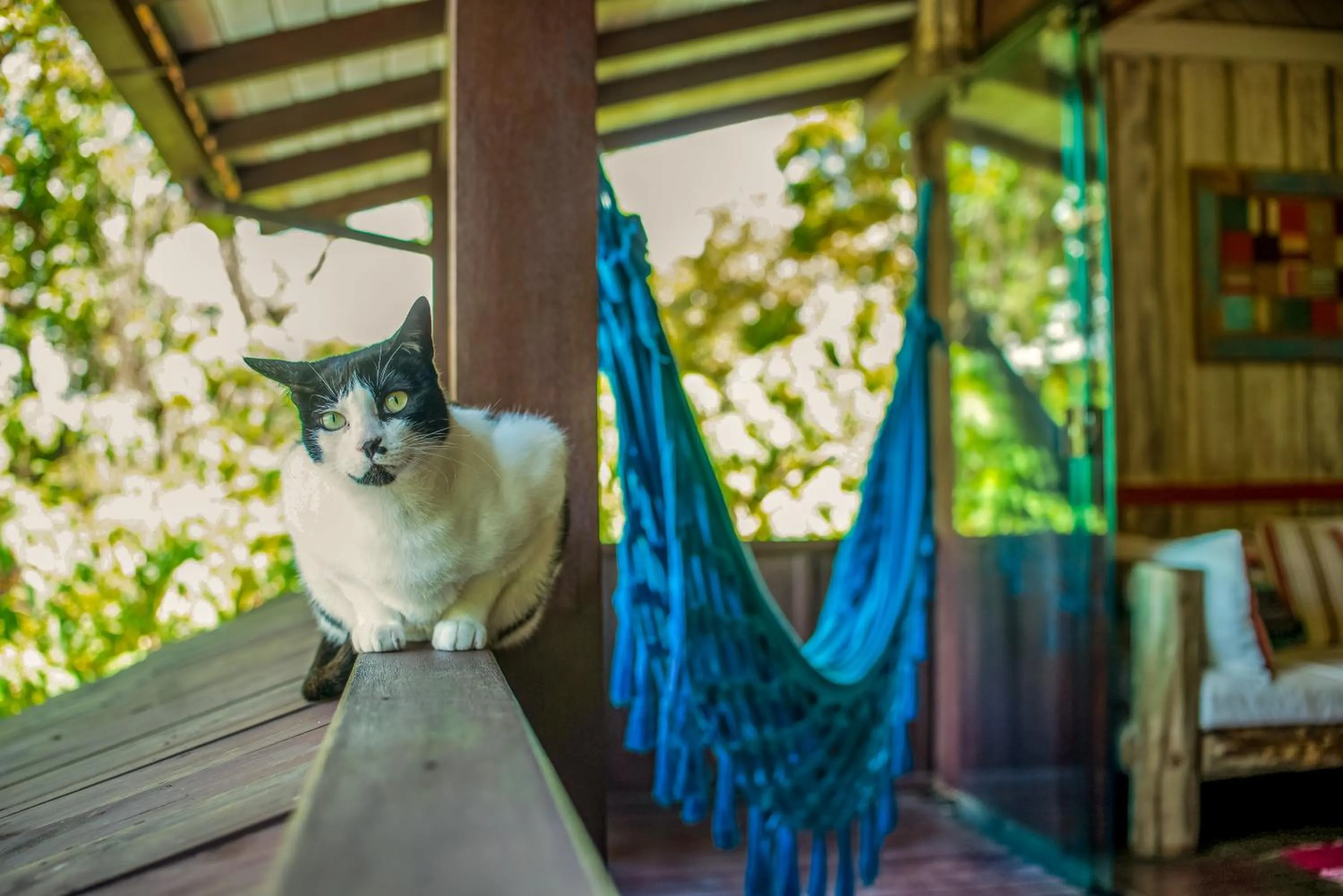 Morada da Praia do Rosa Pousada