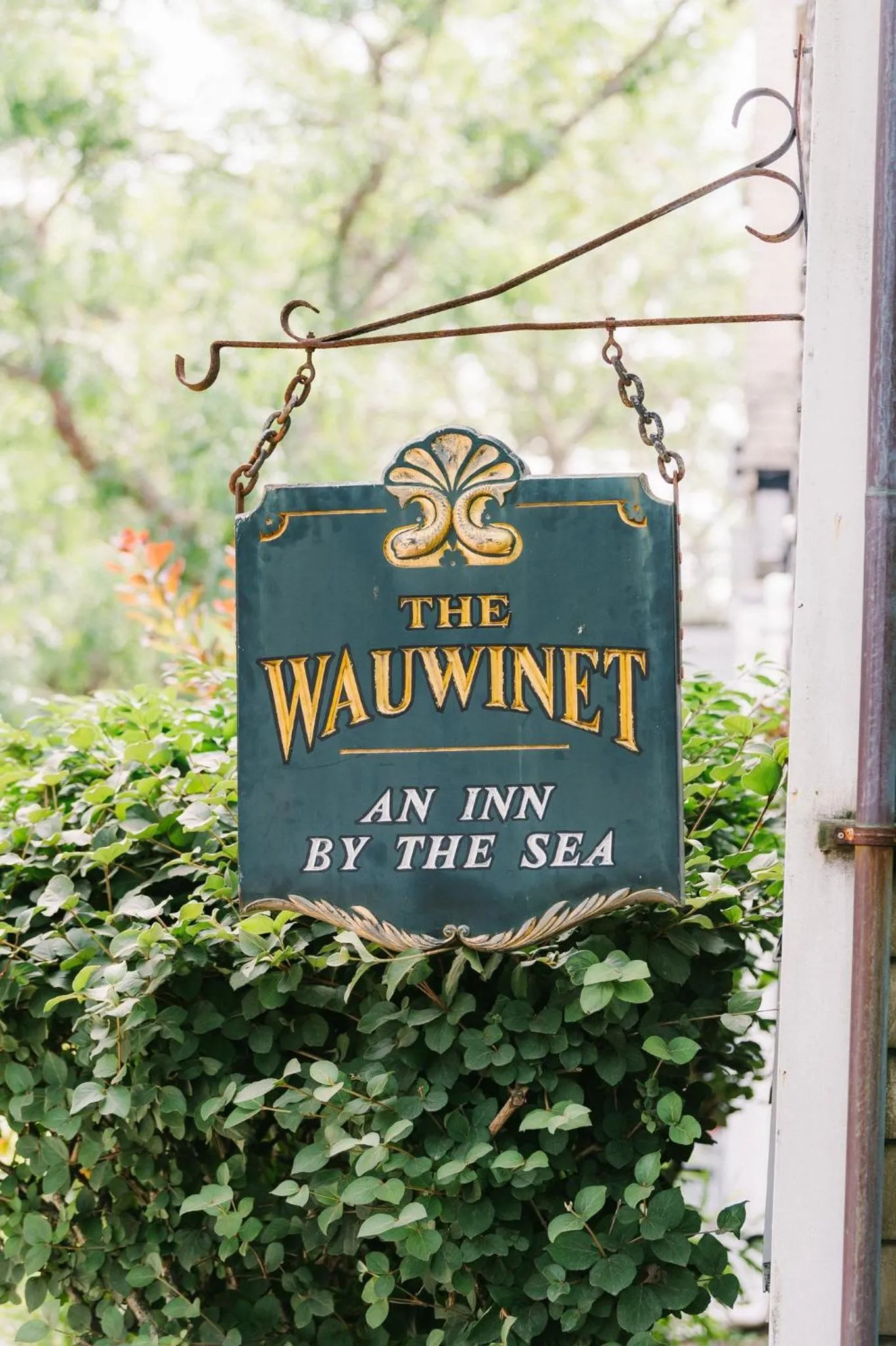 Property logo or sign in The Wauwinet Nantucket