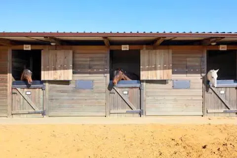 Horse-riding in Casa Rural Ecuestre
