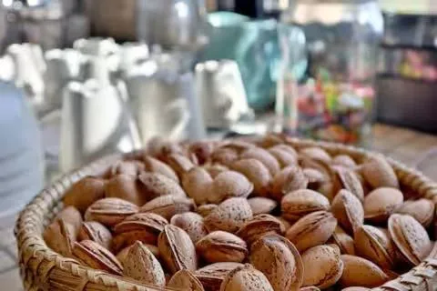 Activities in Casa Rural Ecuestre