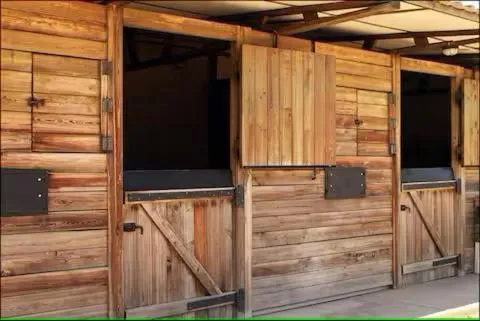 Horse-riding in Casa Rural Ecuestre