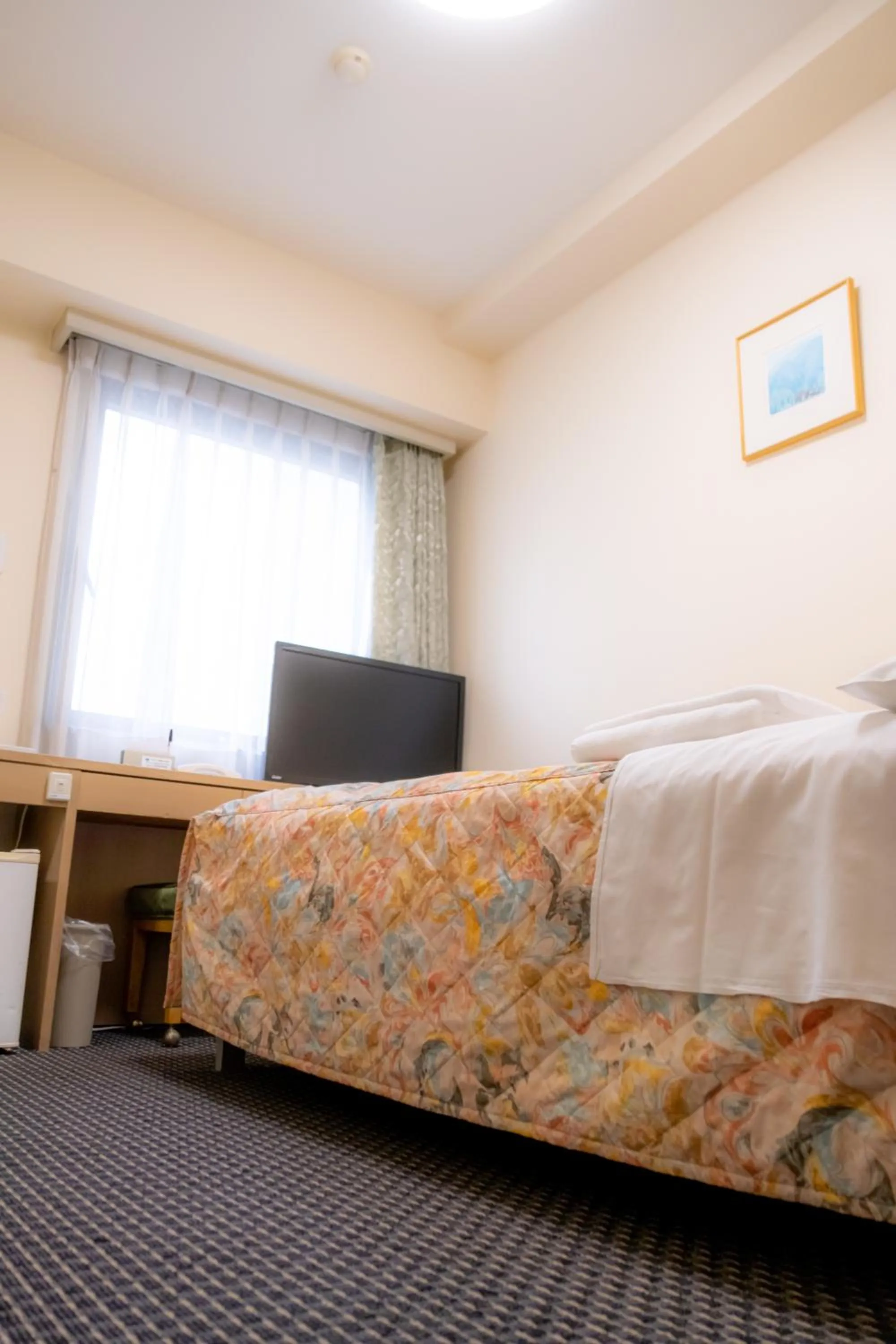 TV/Entertainment Center in Pearl Hotel Kasai