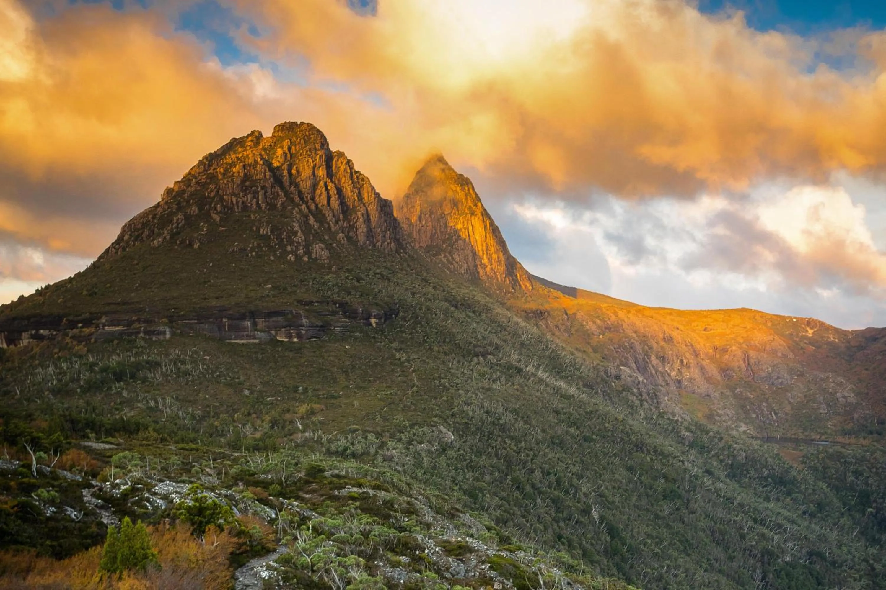 Natural landscape in Peppers Cradle Mountain Lodge
