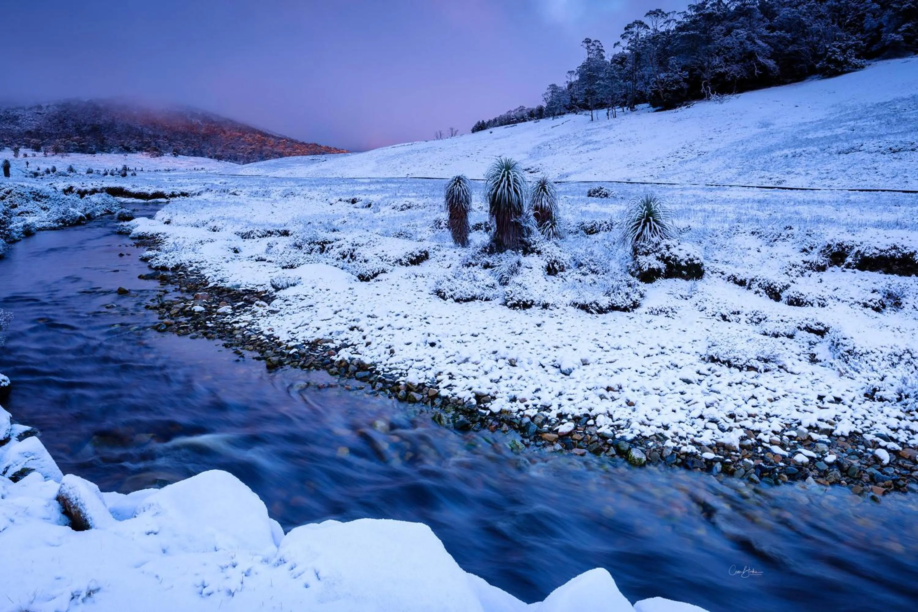 Natural landscape in Peppers Cradle Mountain Lodge