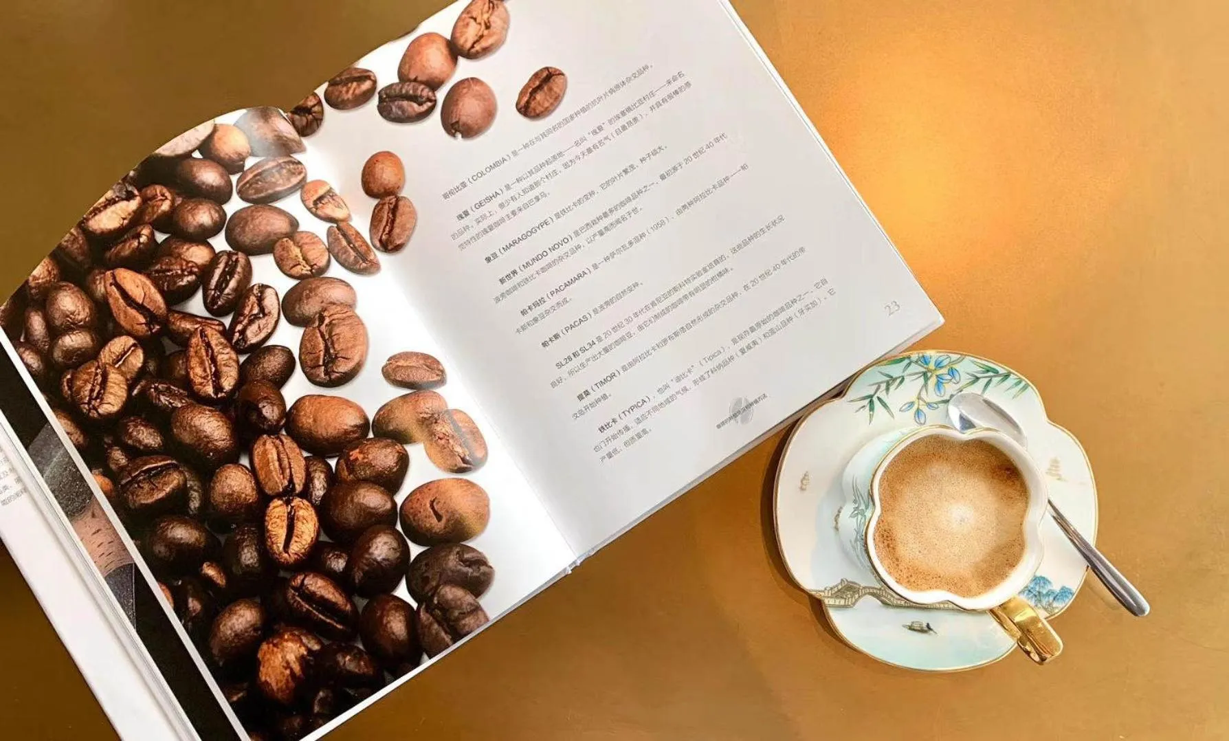 Intercontinental Shenzhen Dameisha Resort by IHG