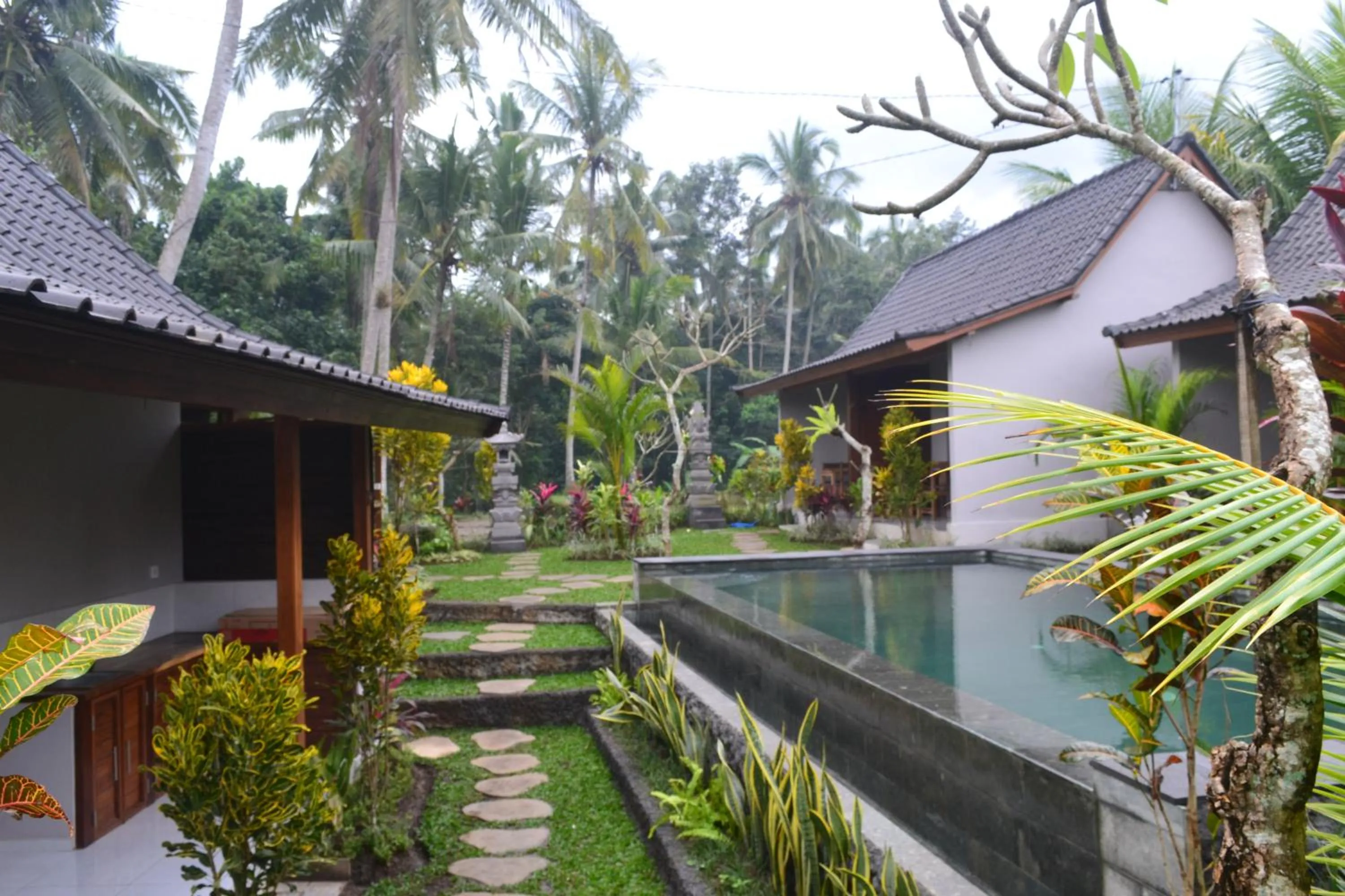 Pool view in Buda Cottage Ubud