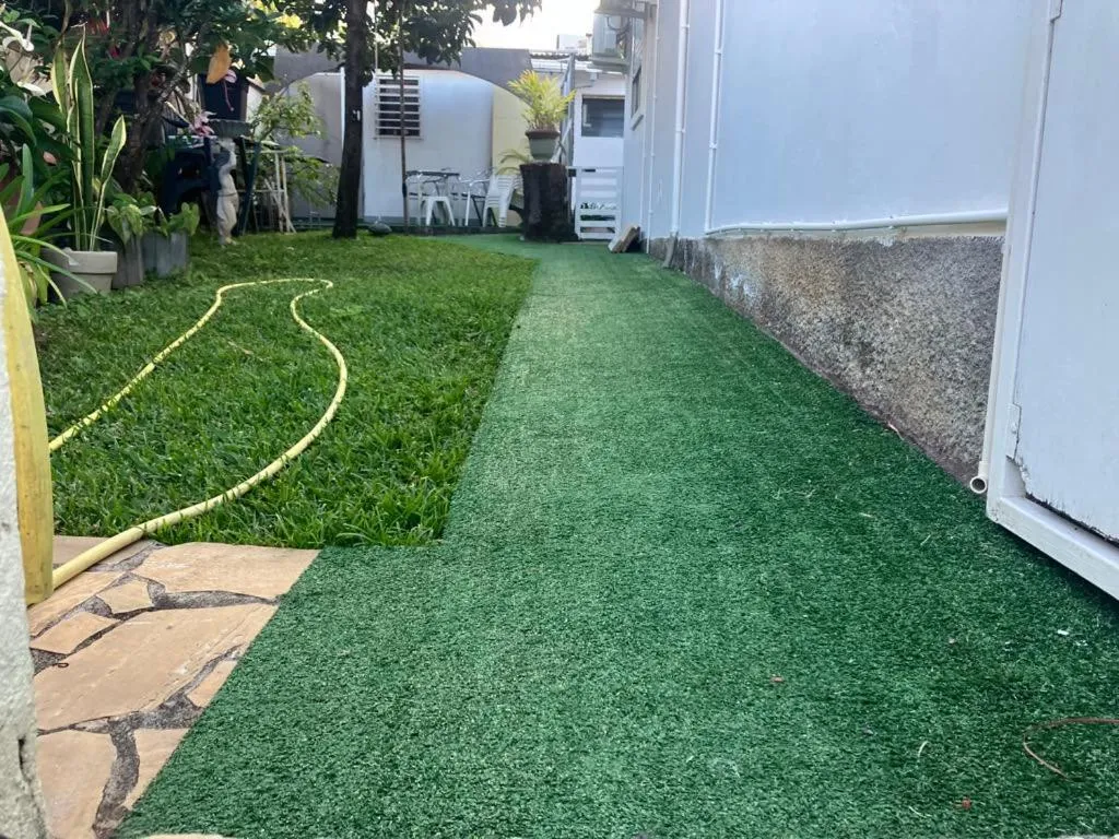 Garden in Manapescale