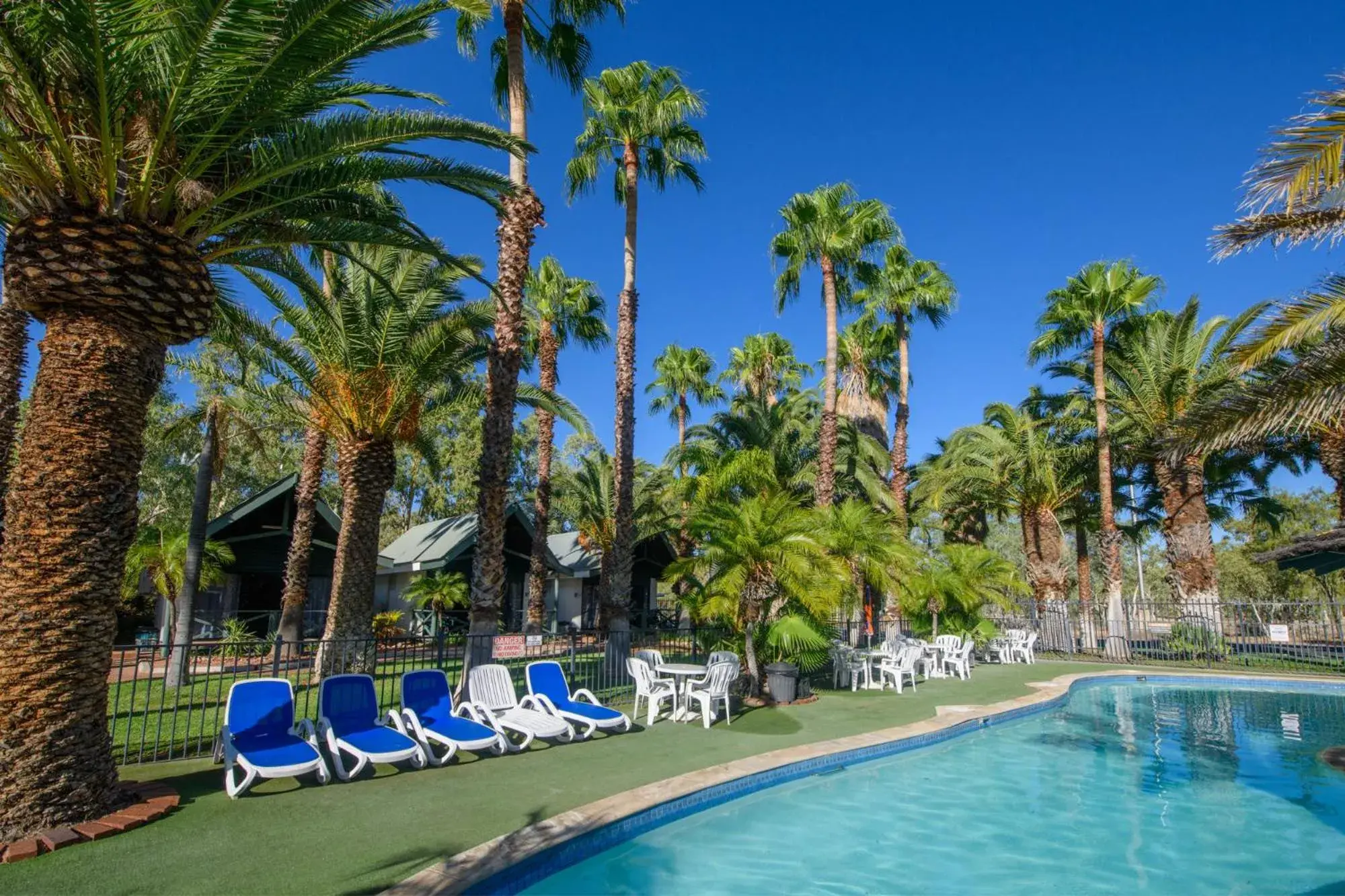 Desert Palms Alice Springs Desert Palms Alice Springs