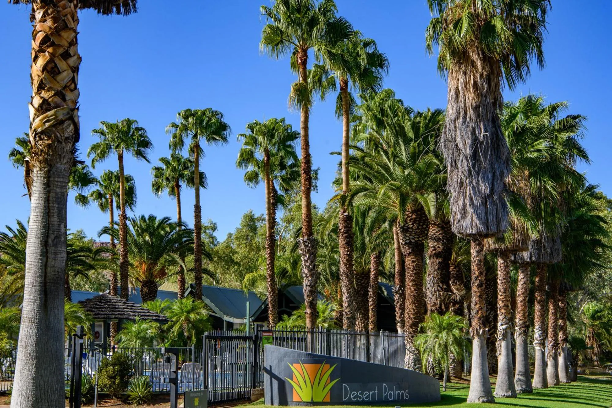 View (from property/room) in Desert Palms Alice Springs