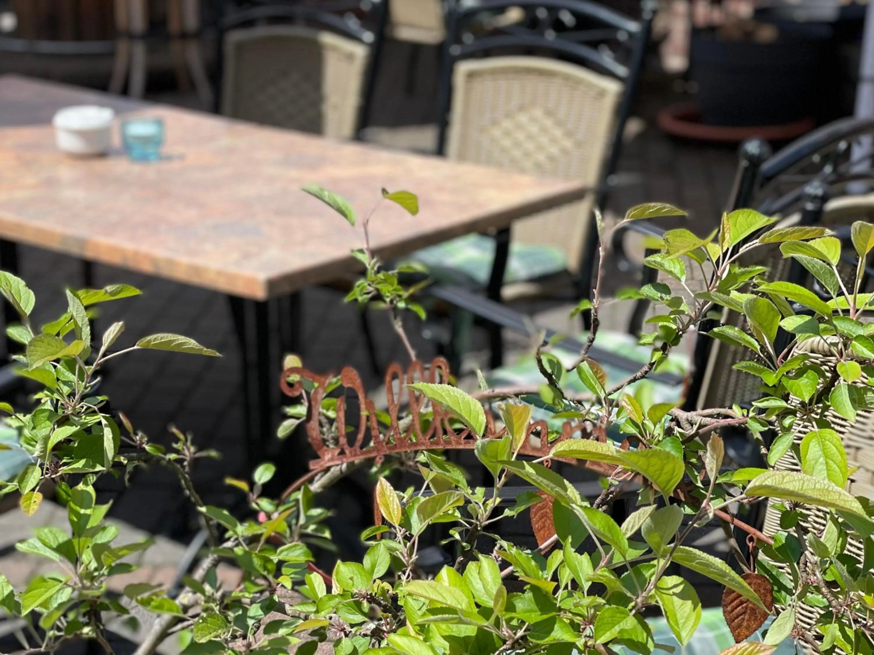 Restaurant/places to eat in Hotel-Restaurant Zur Mühle