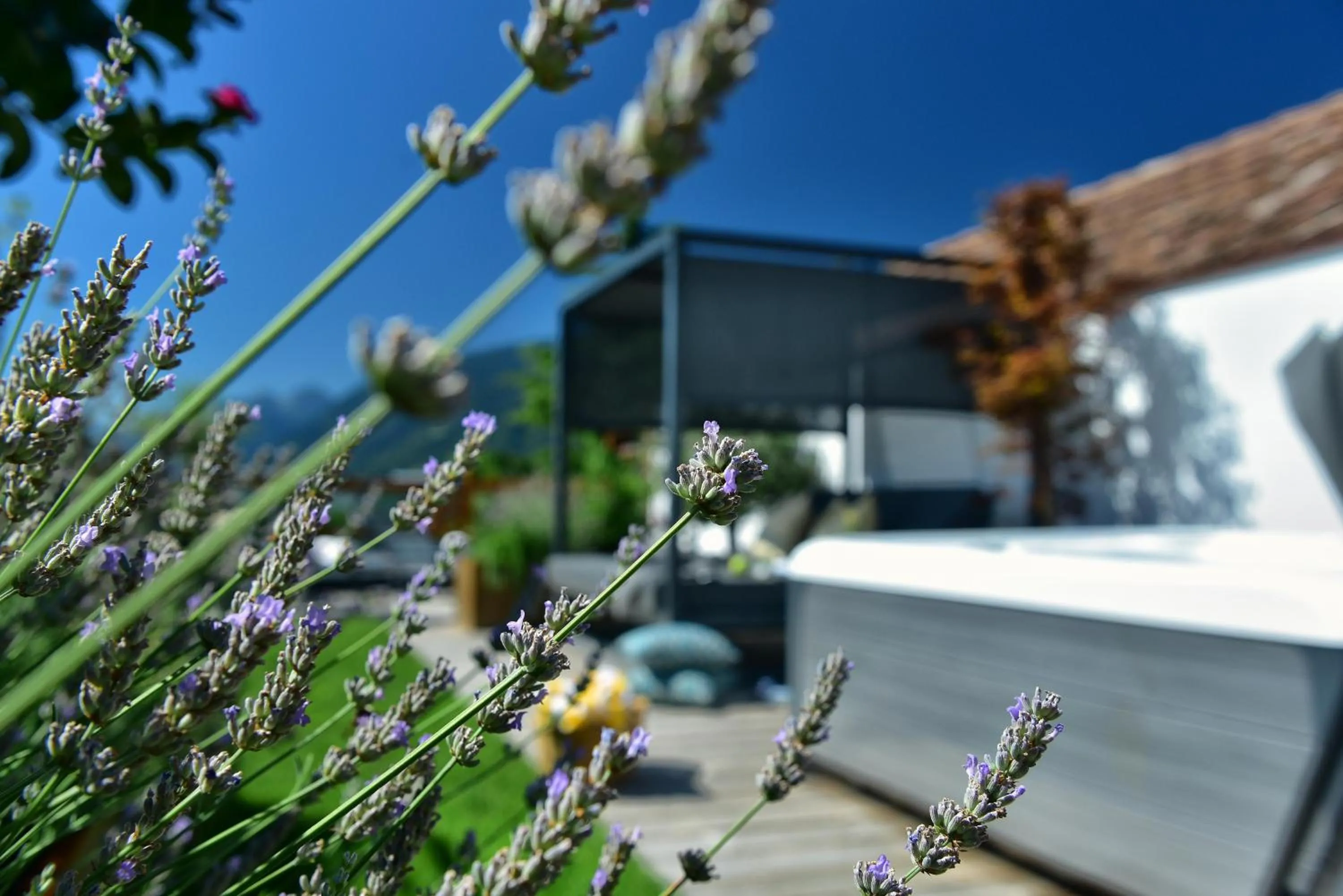 Garden in Small Hotel Sonne
