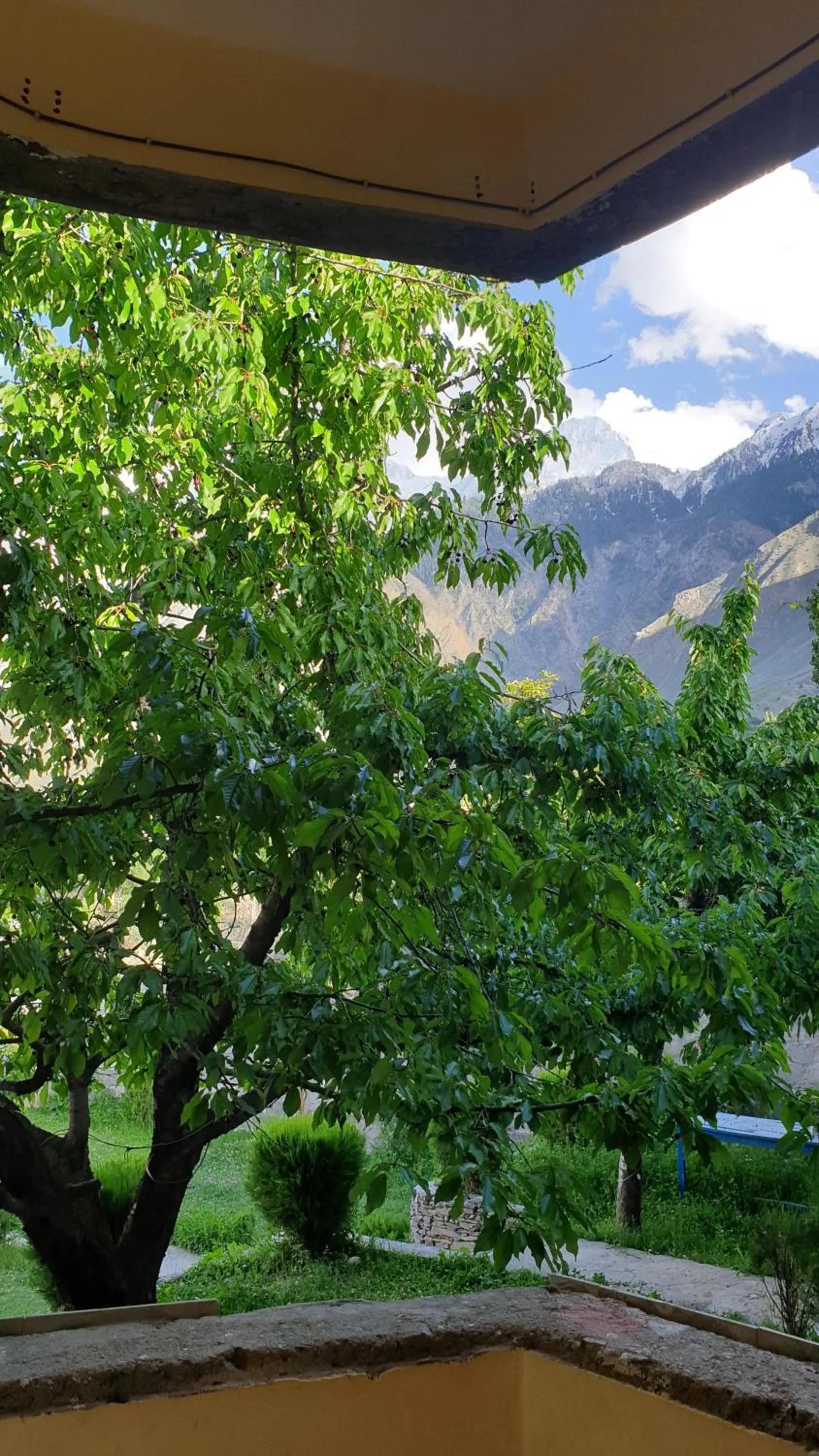 Day in Hikal Guest House