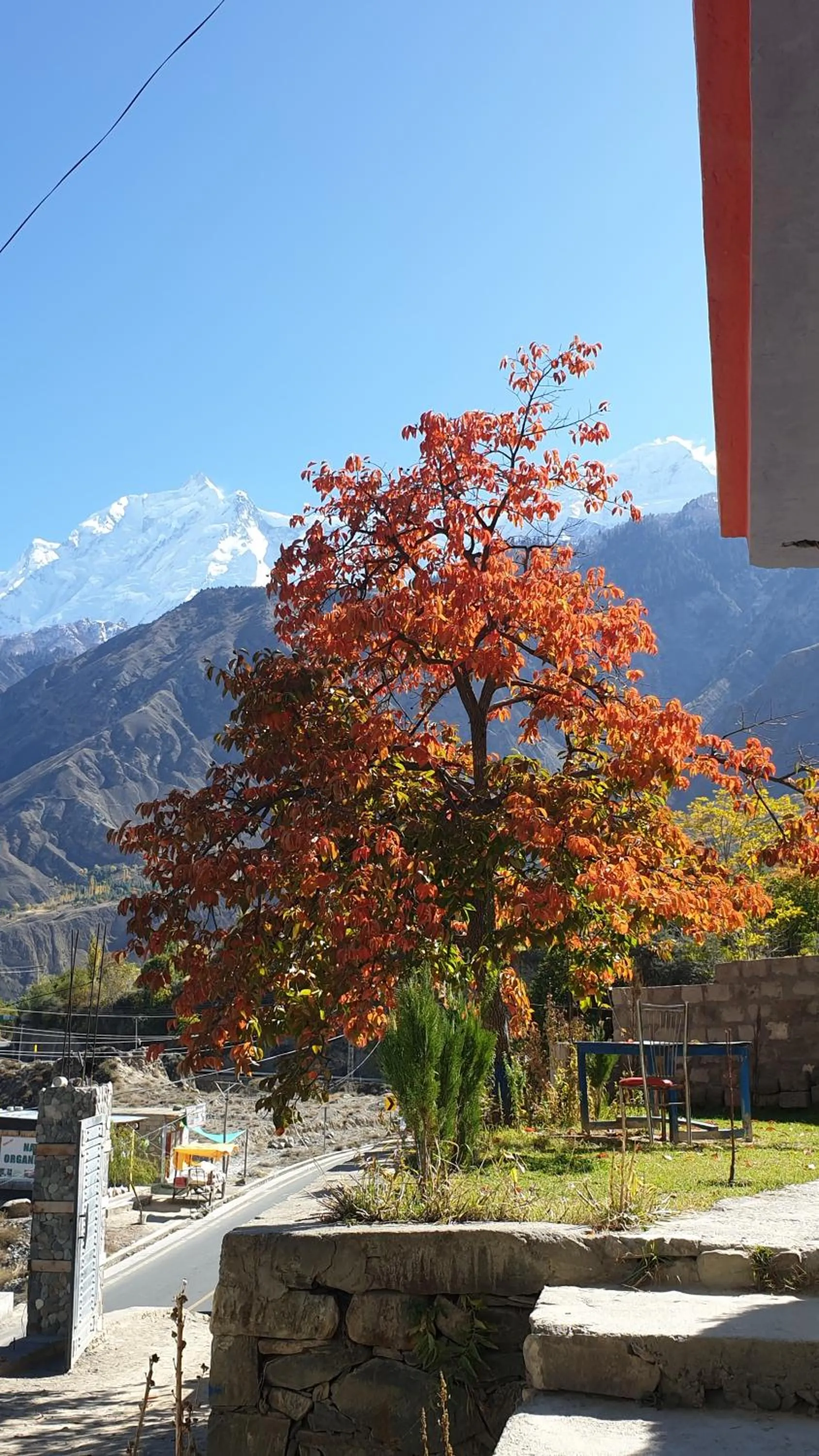 Day in Hikal Guest House