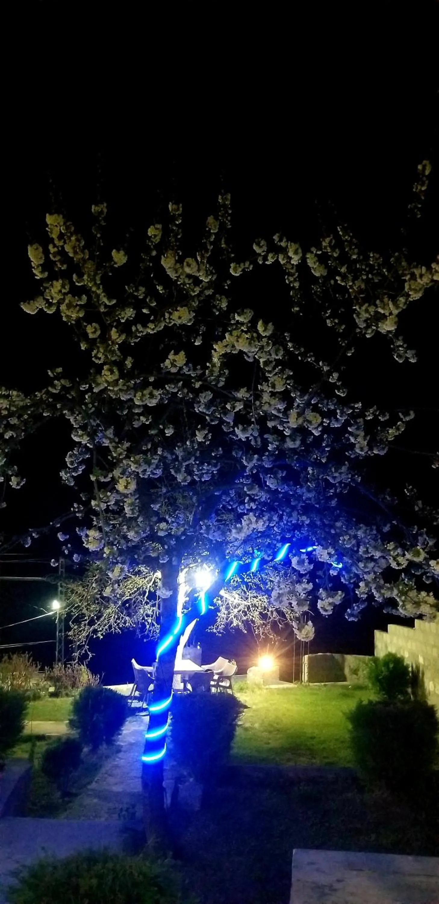 Spring in Hikal Guest House