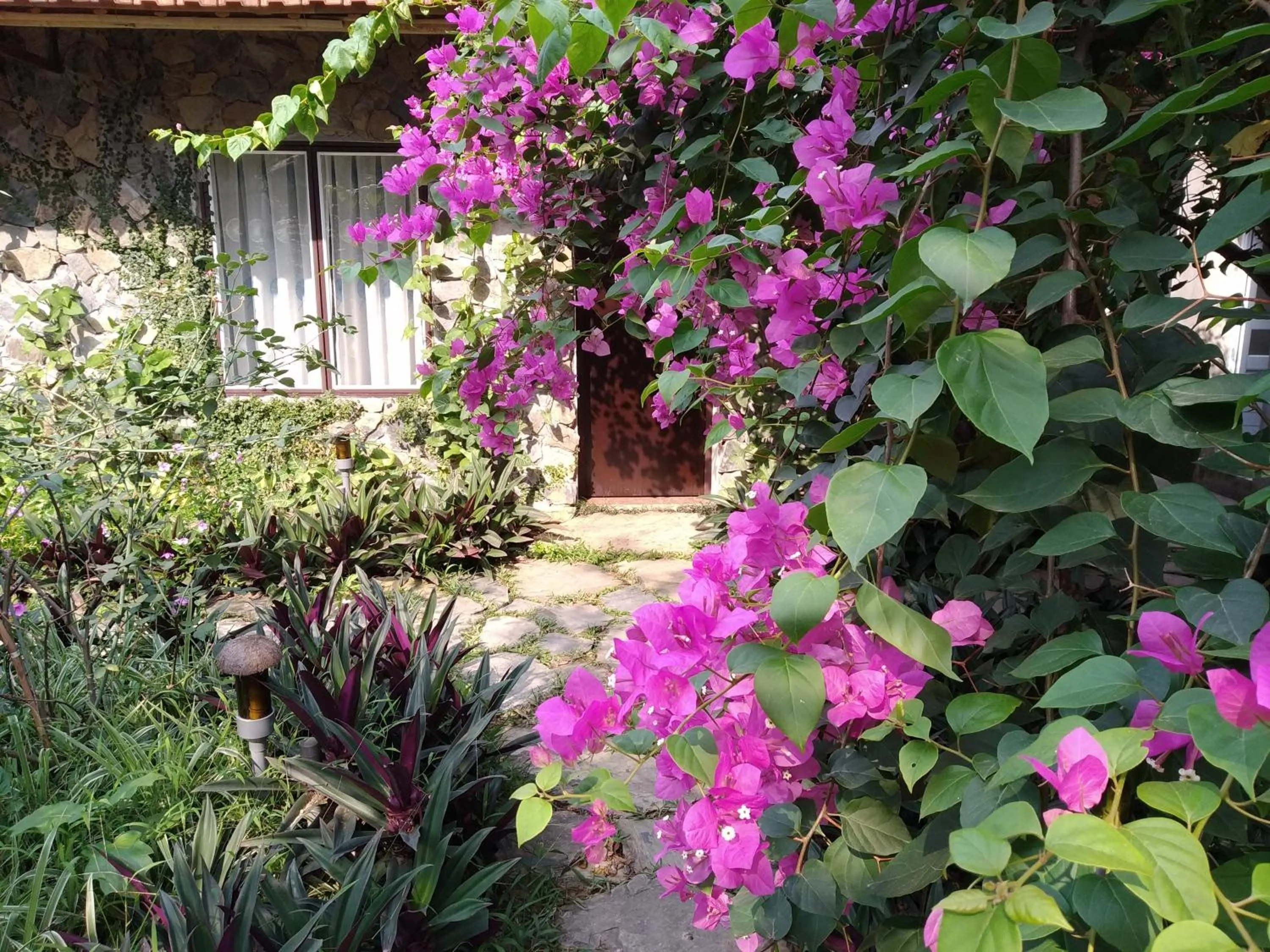 Mr. Viet home stay