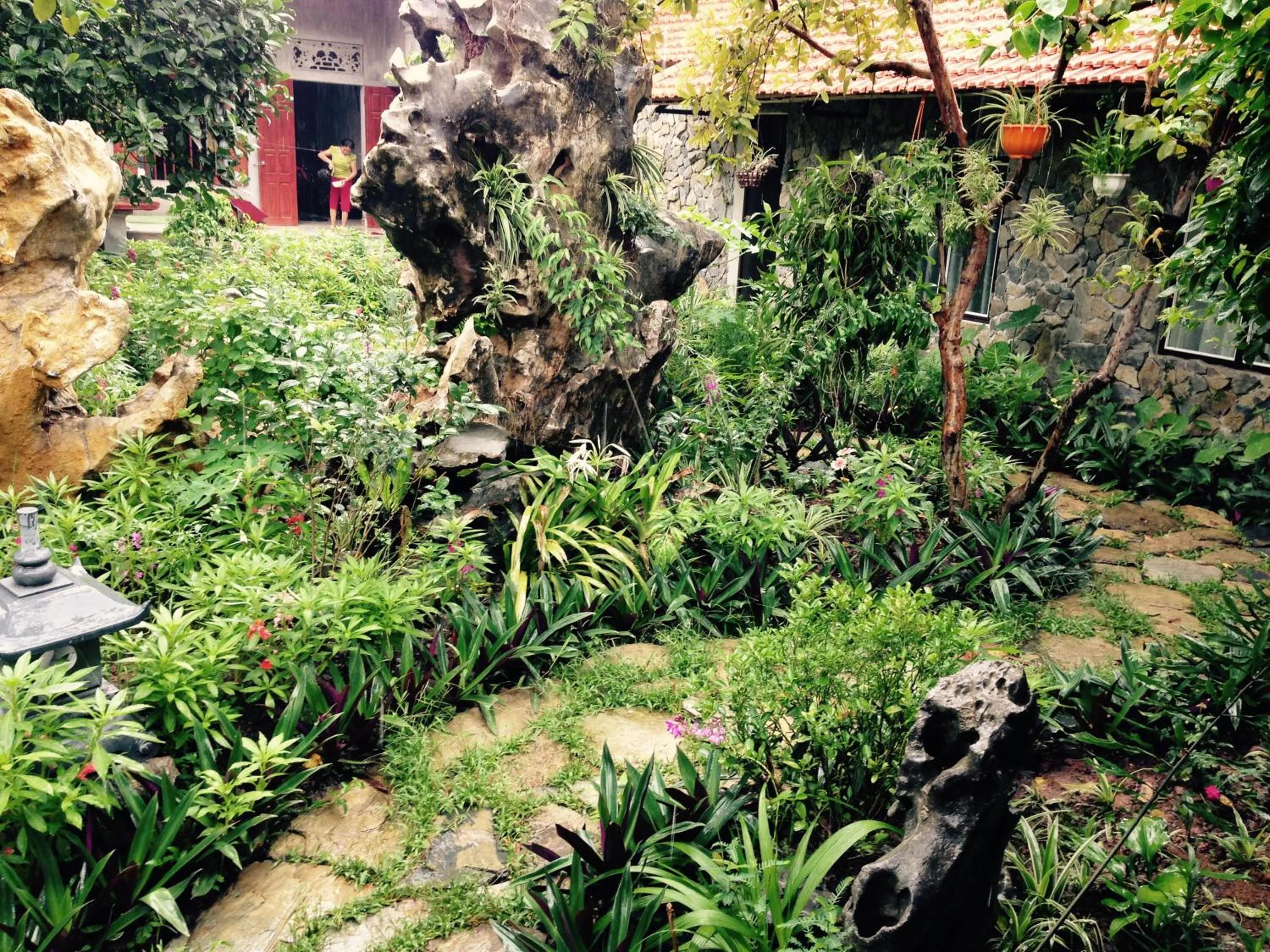 Mr. Viet home stay