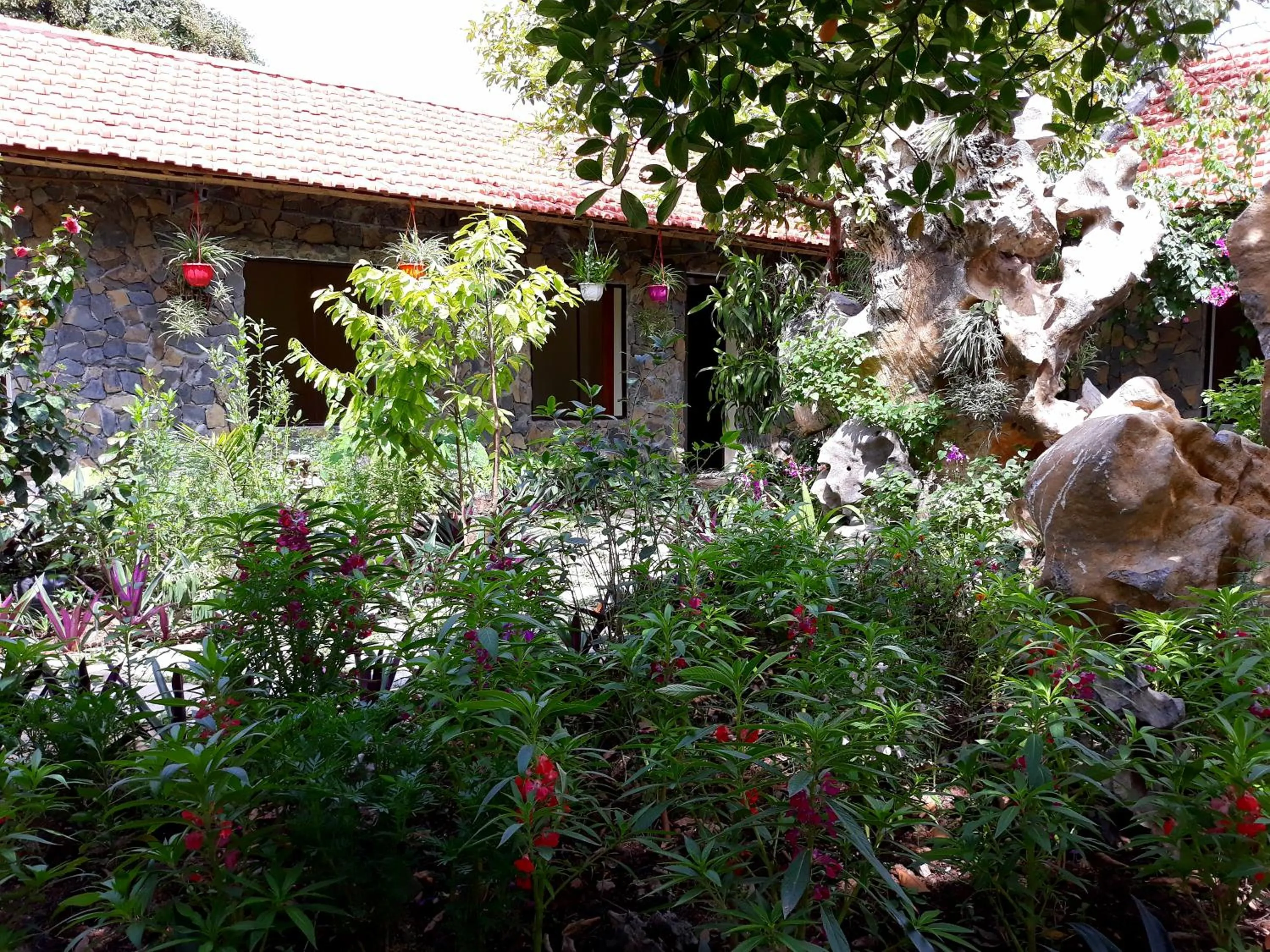 Mr. Viet home stay