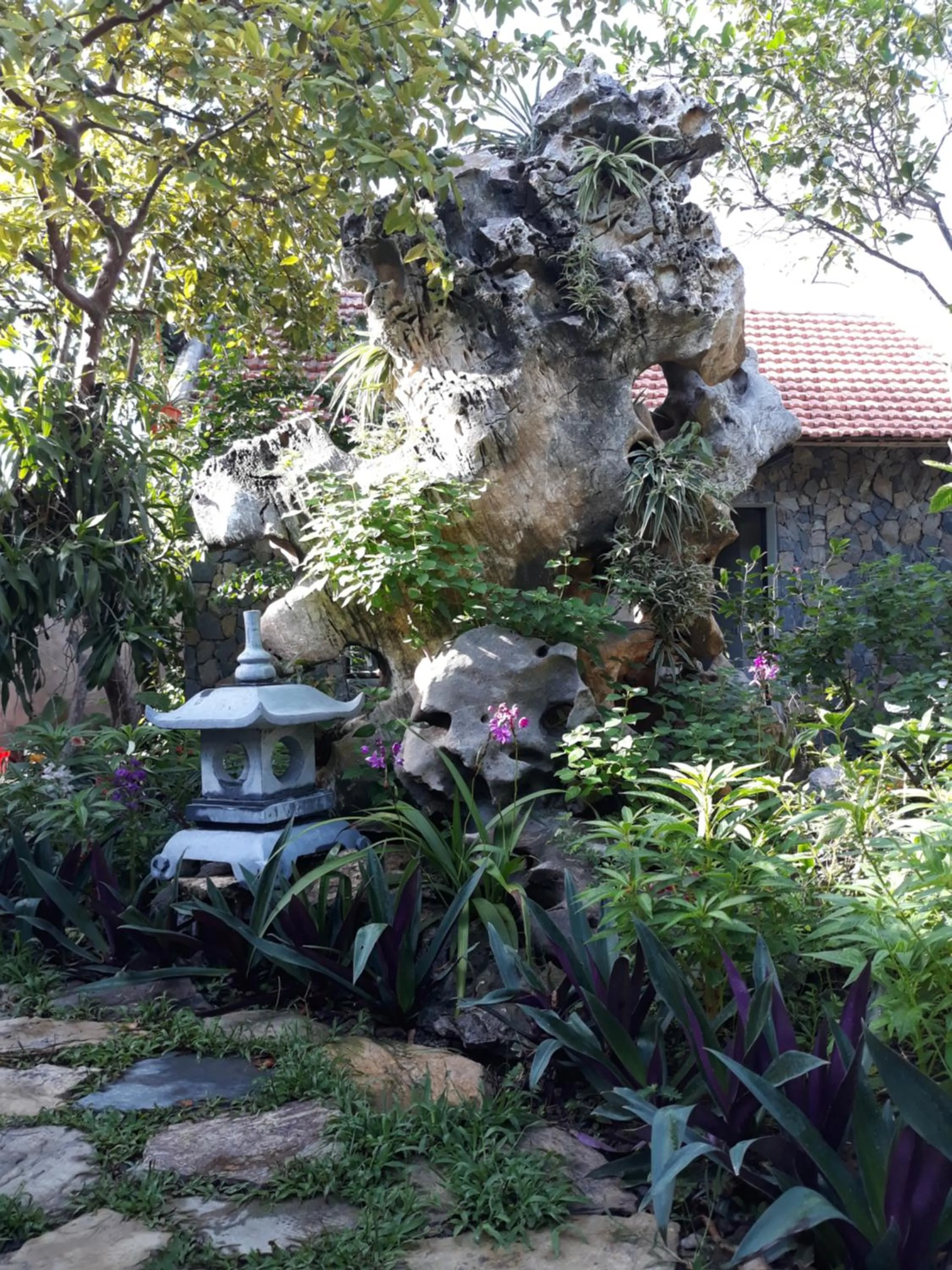 Mr. Viet home stay