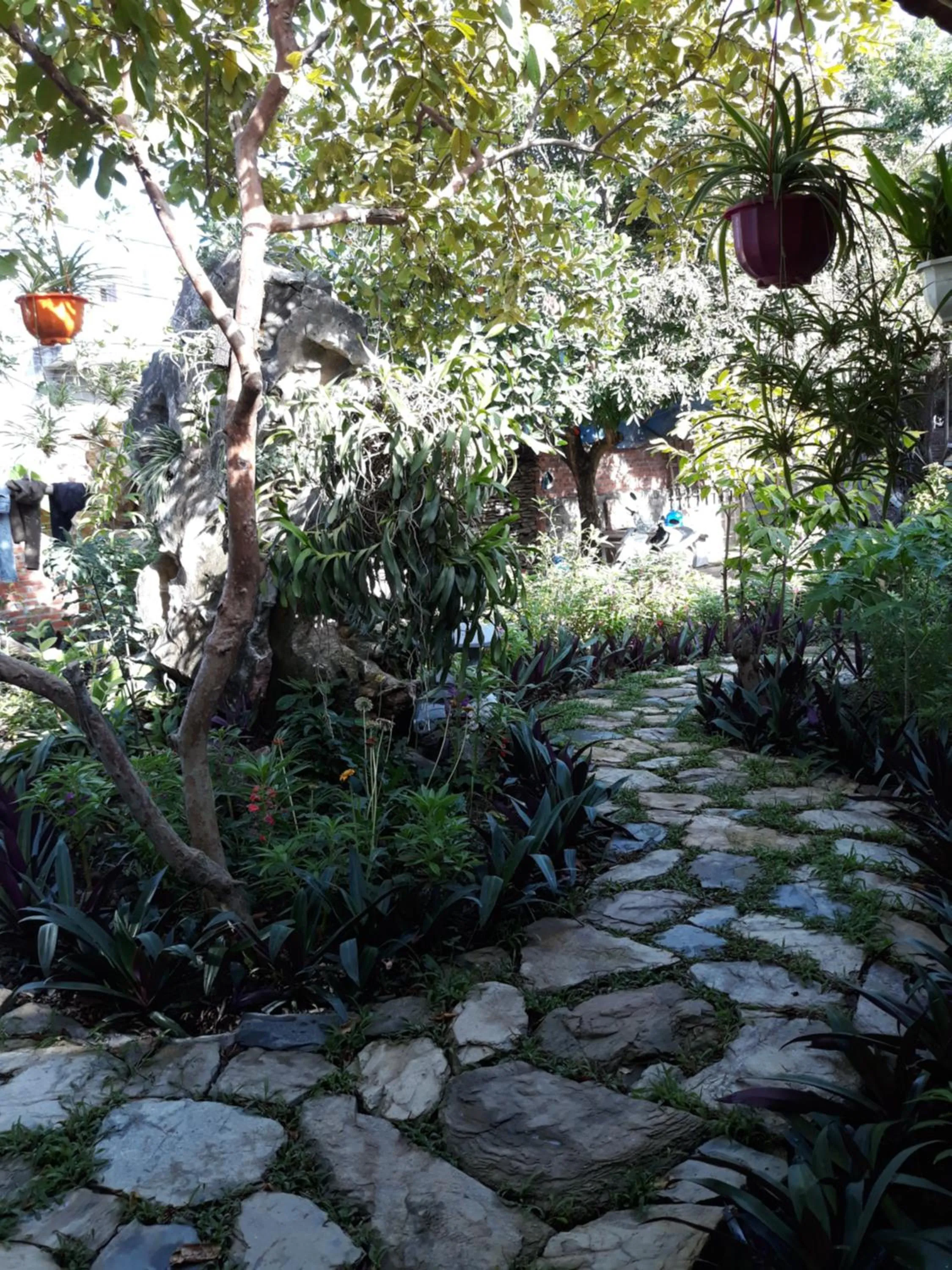 Mr. Viet home stay