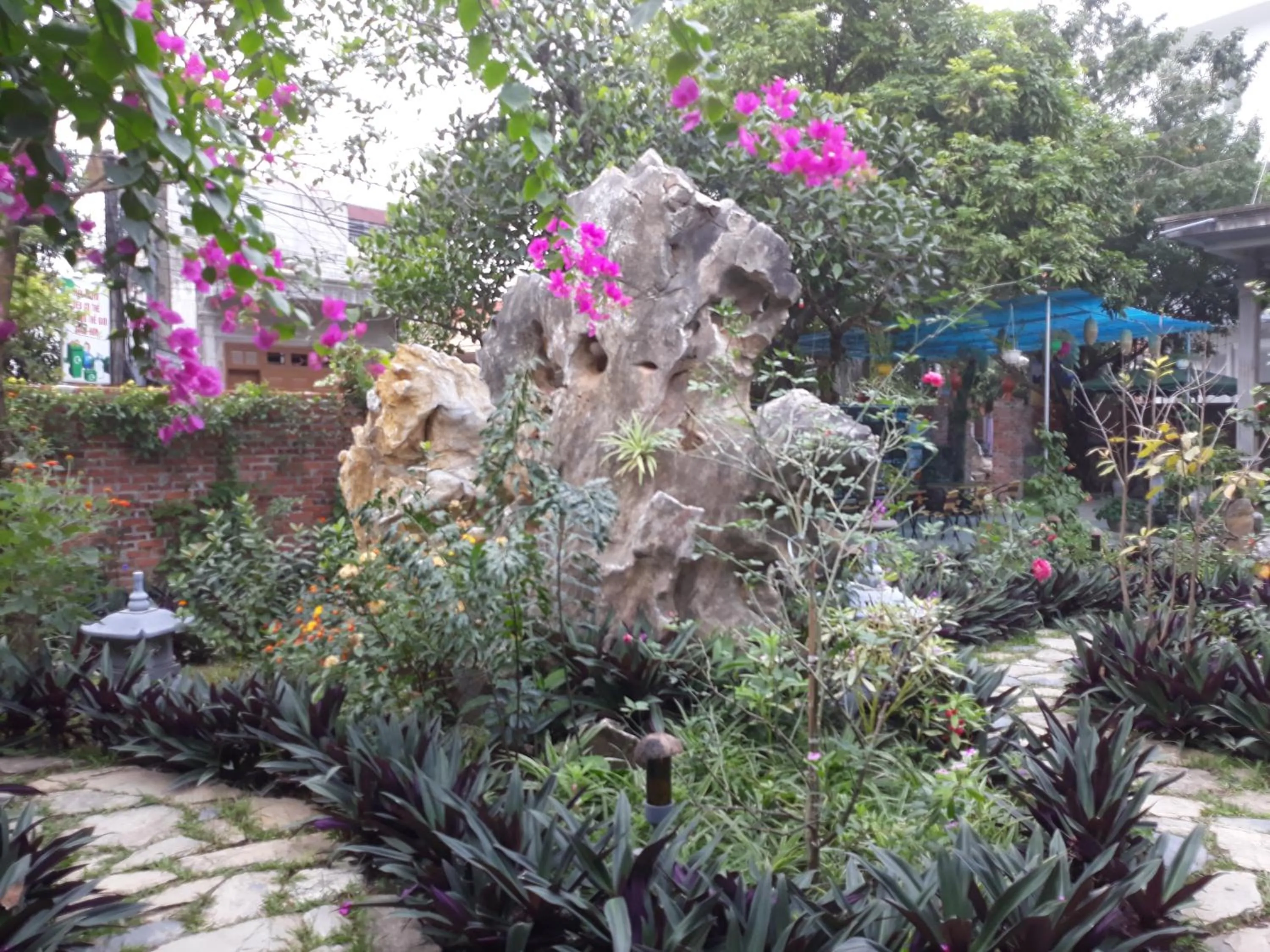 Mr. Viet home stay