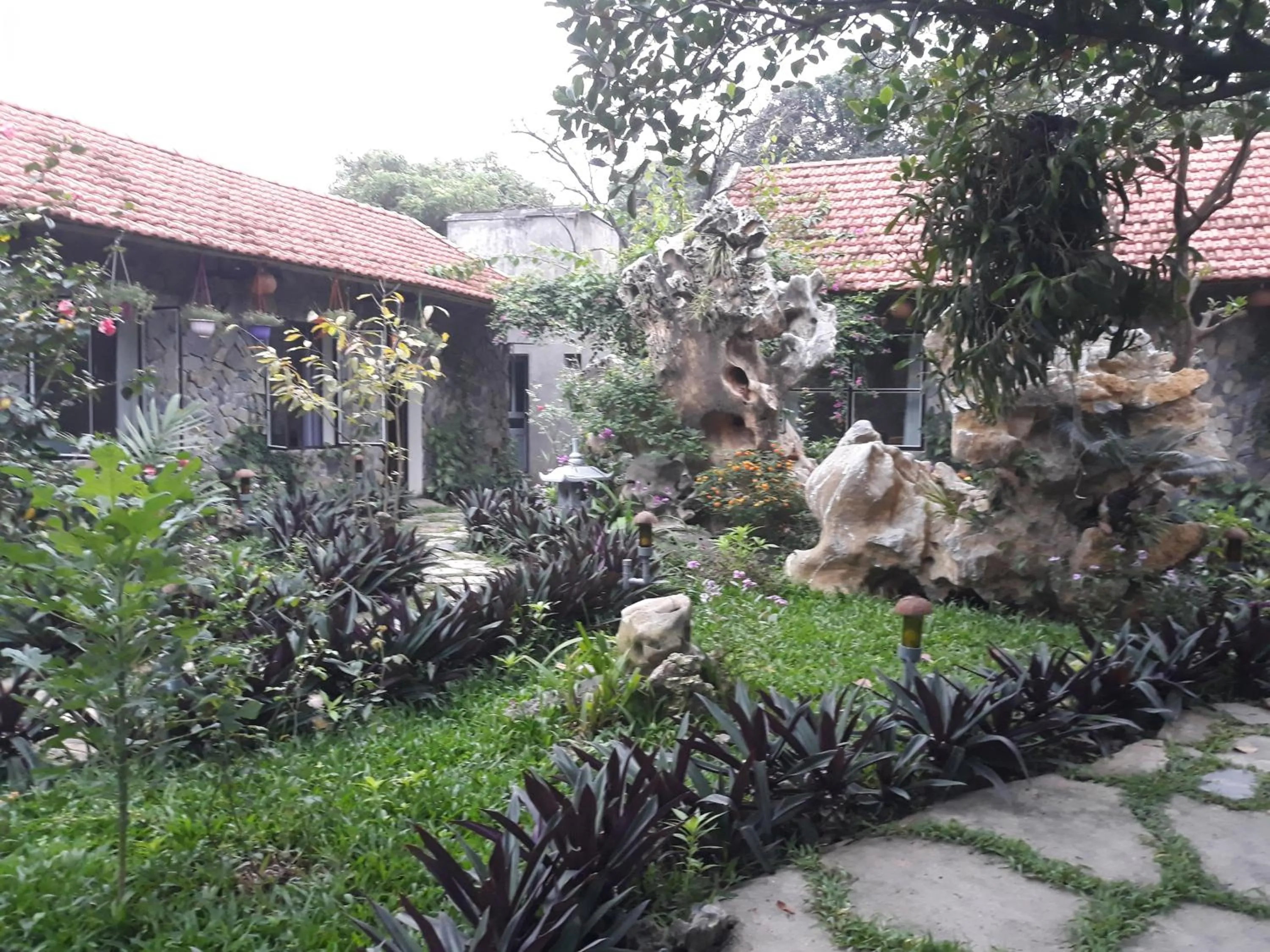 Mr. Viet home stay