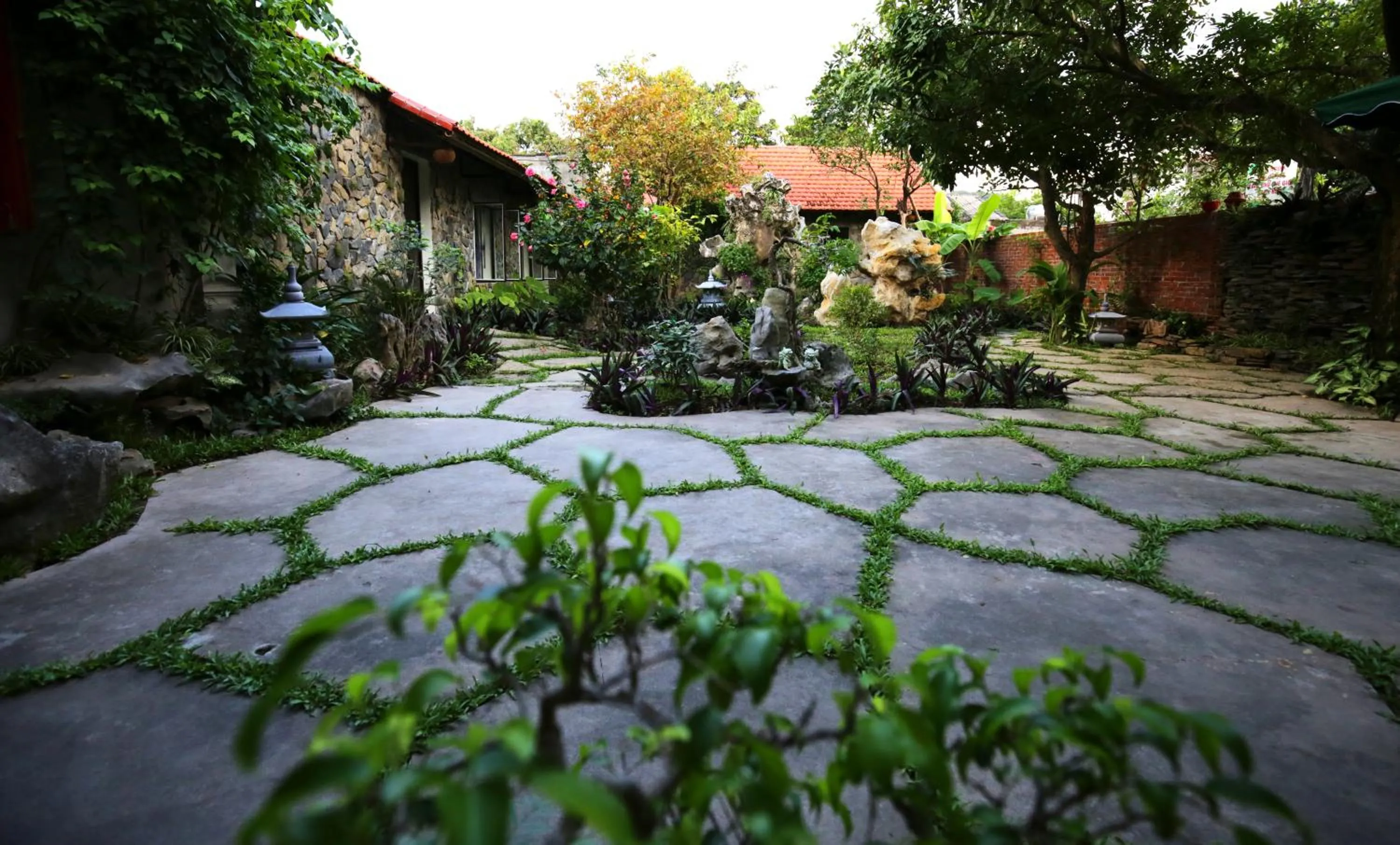 Mr. Viet home stay