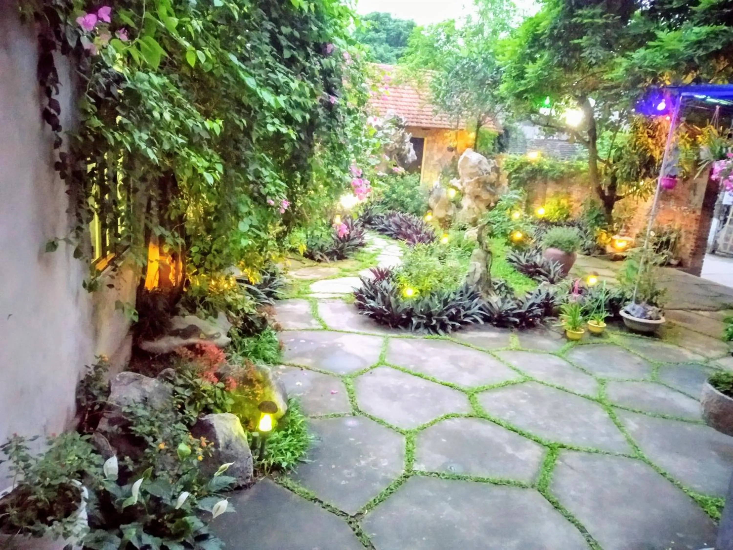 Mr. Viet home stay