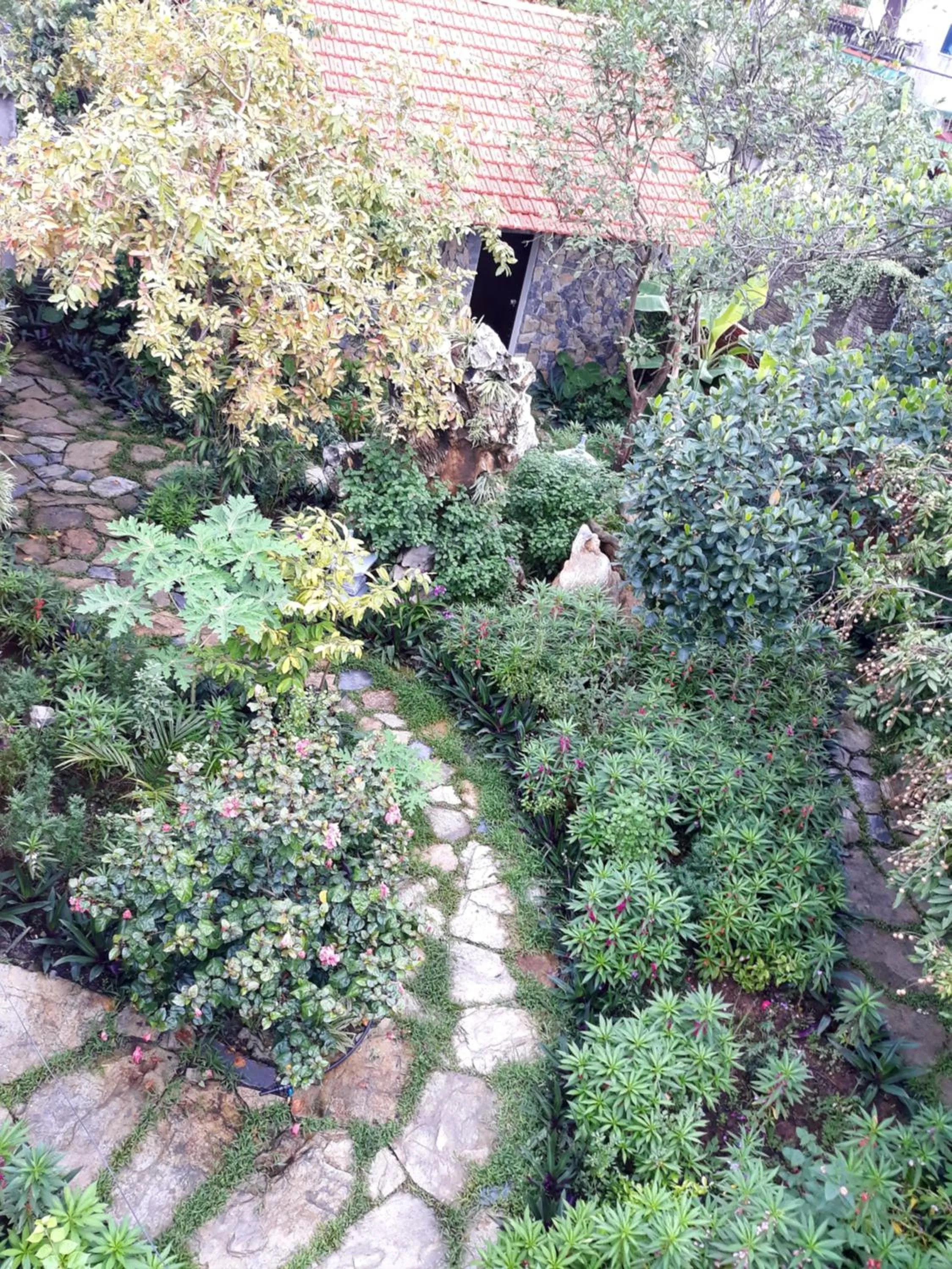 Mr. Viet home stay