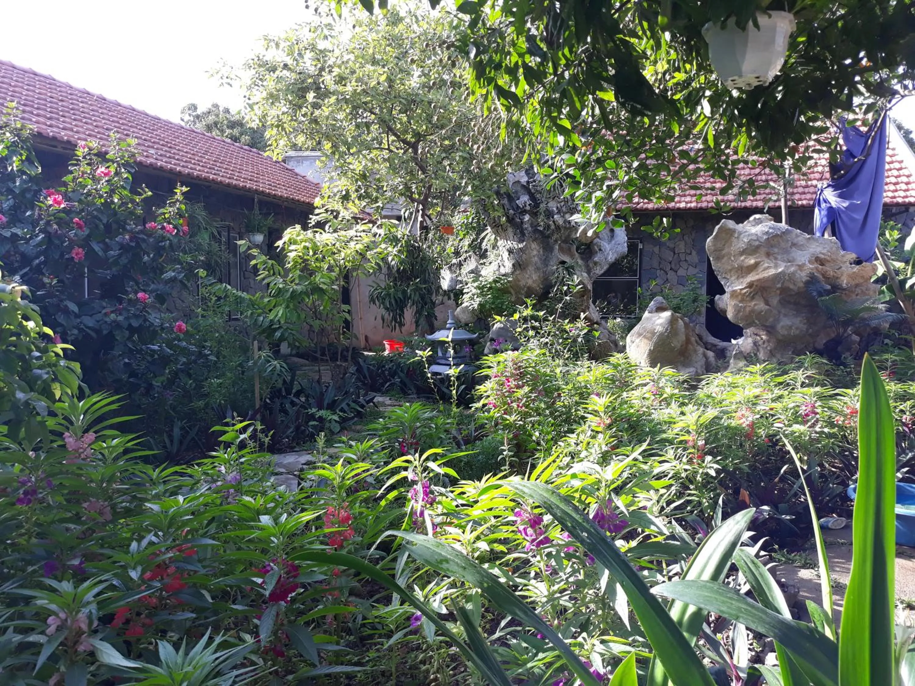Mr. Viet home stay