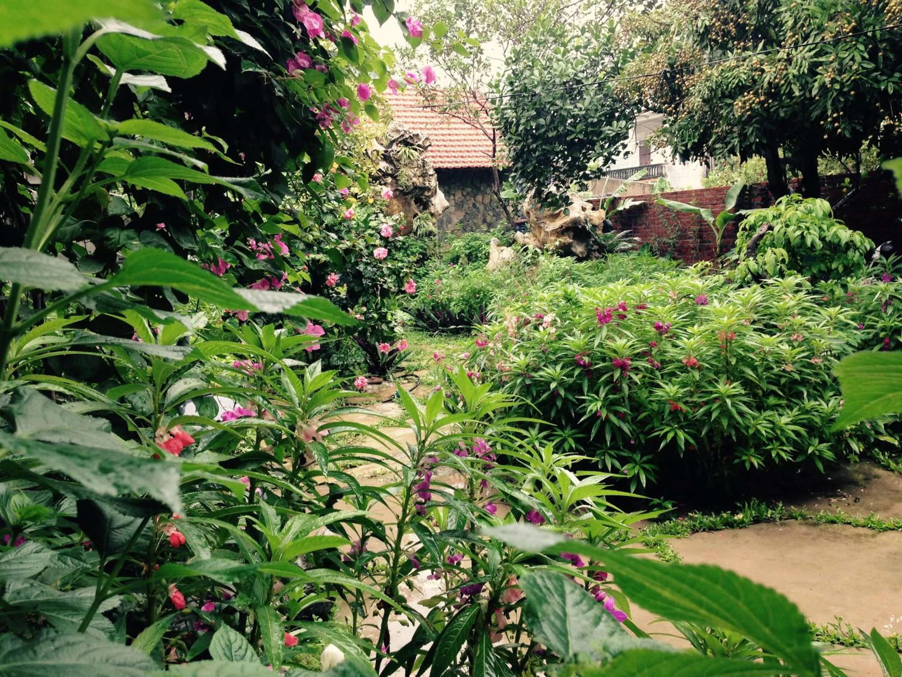 Mr. Viet home stay