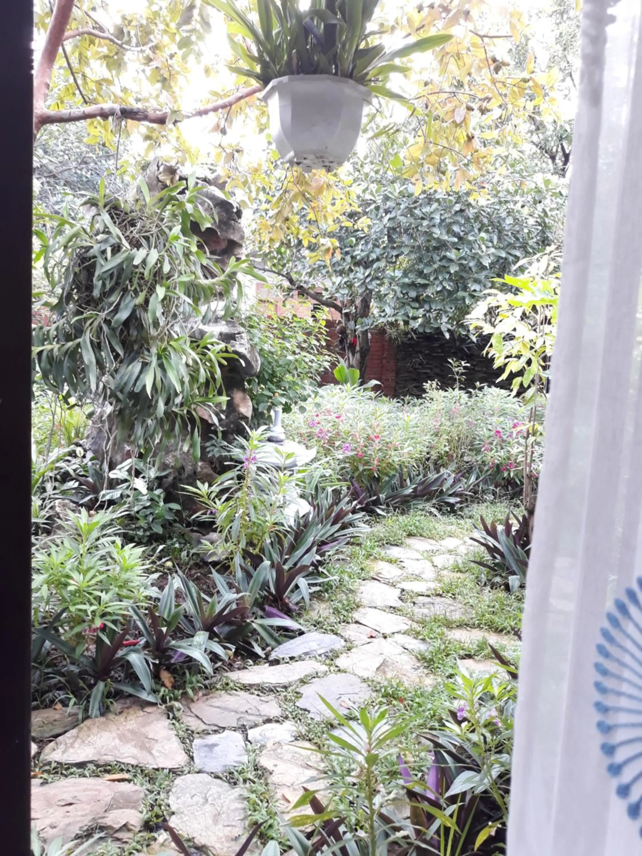 Mr. Viet home stay