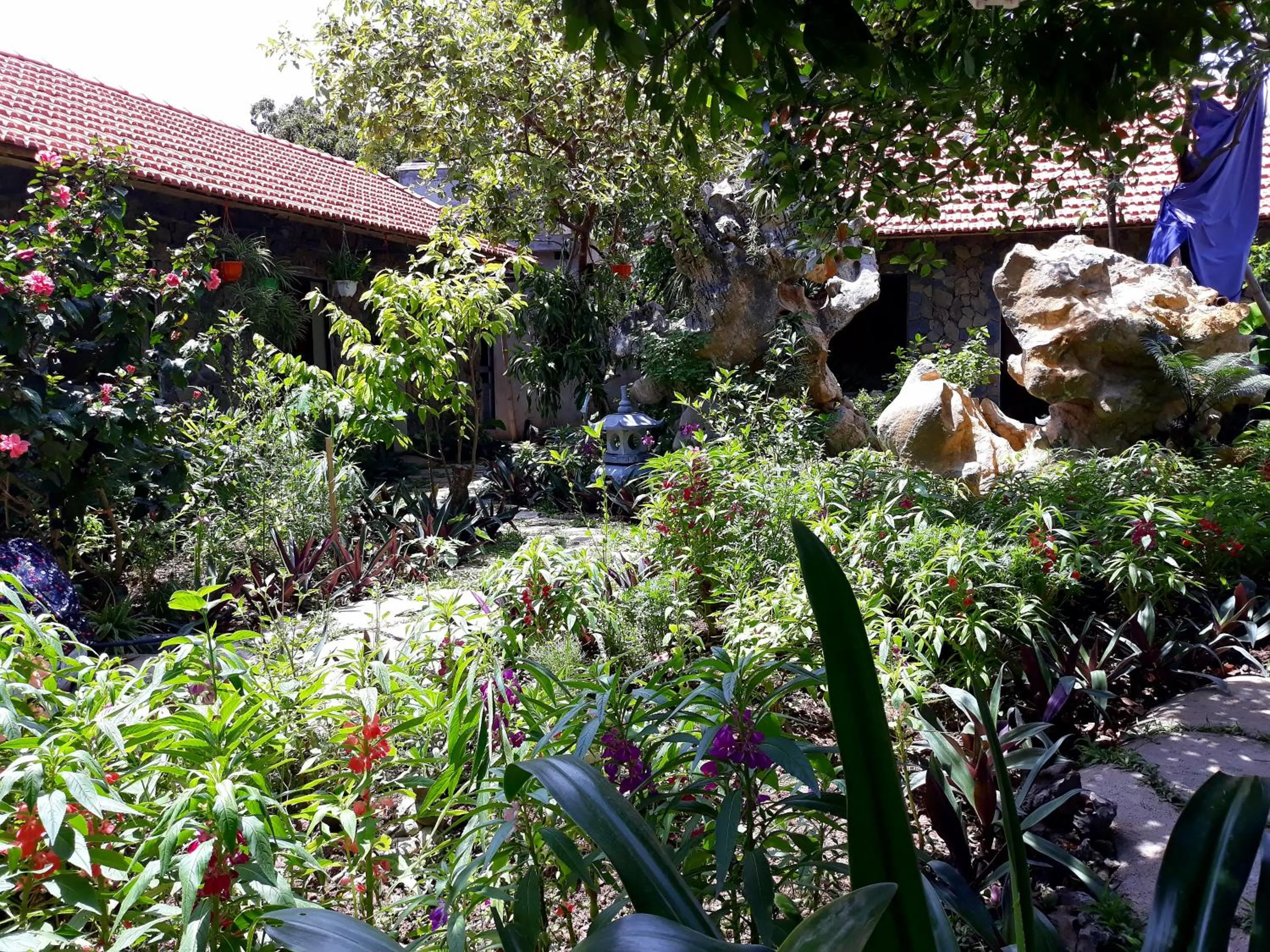 Property building in Mr. Viet home stay