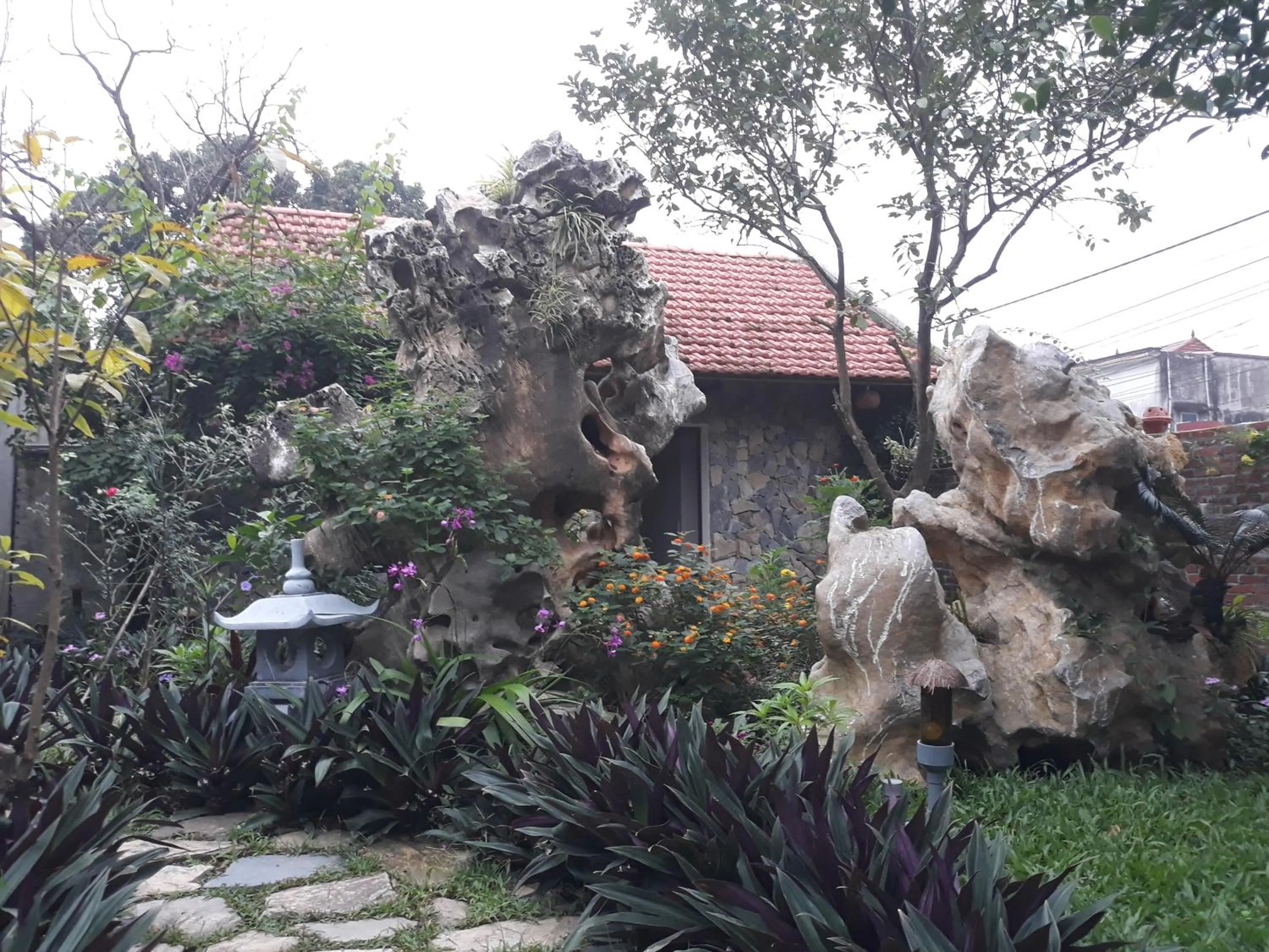 Mr. Viet home stay
