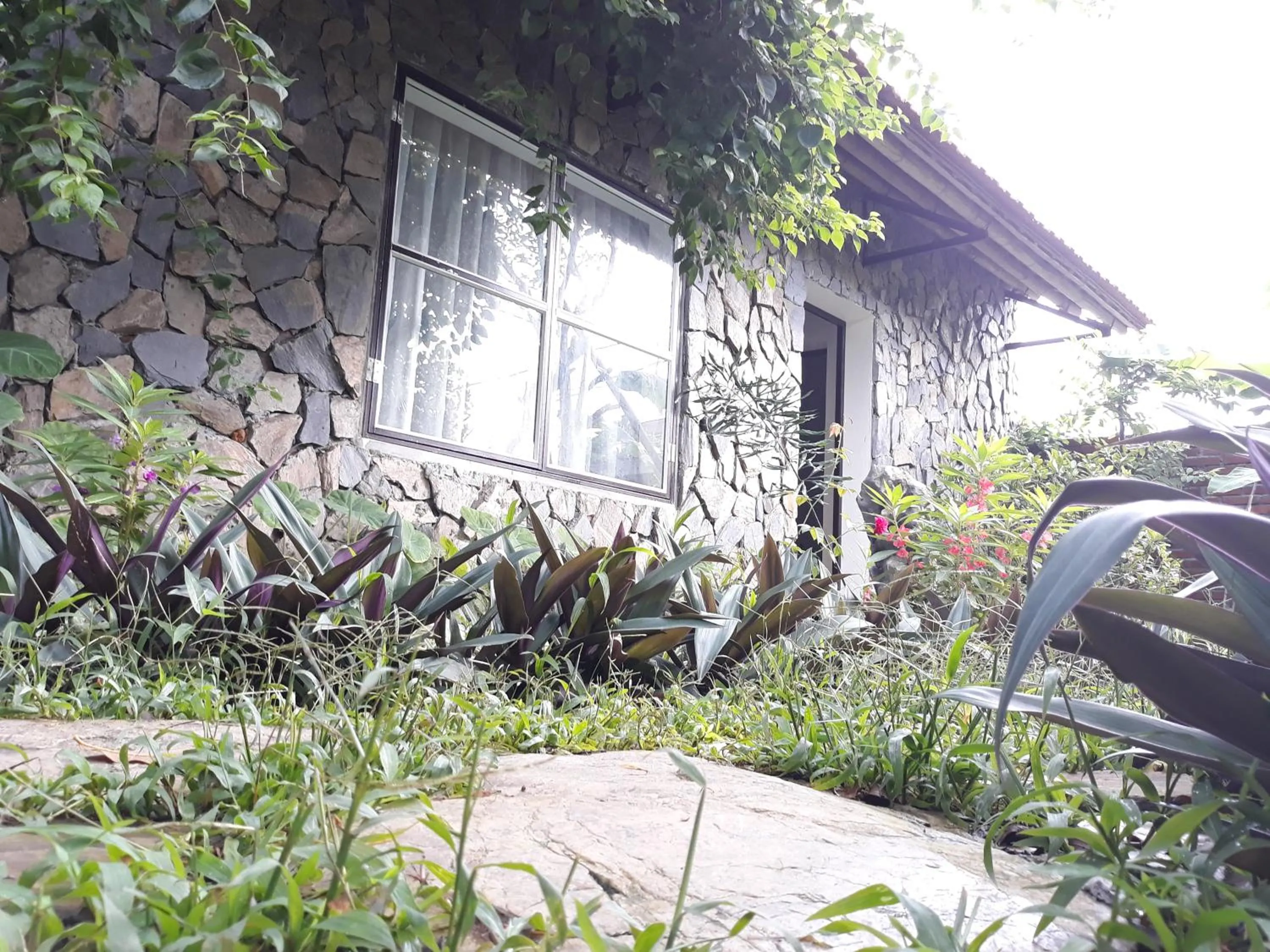 Mr. Viet home stay