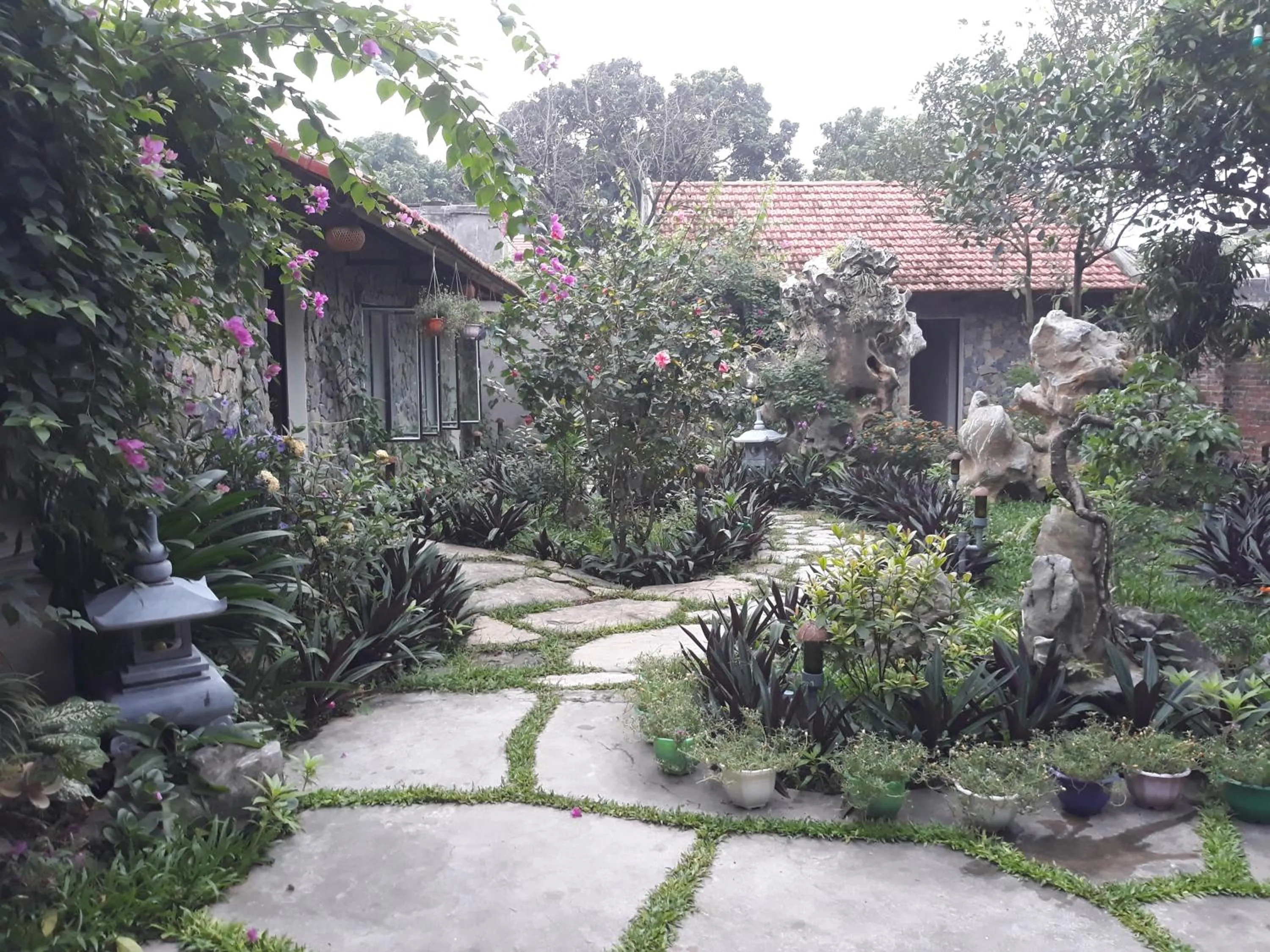 Mr. Viet home stay
