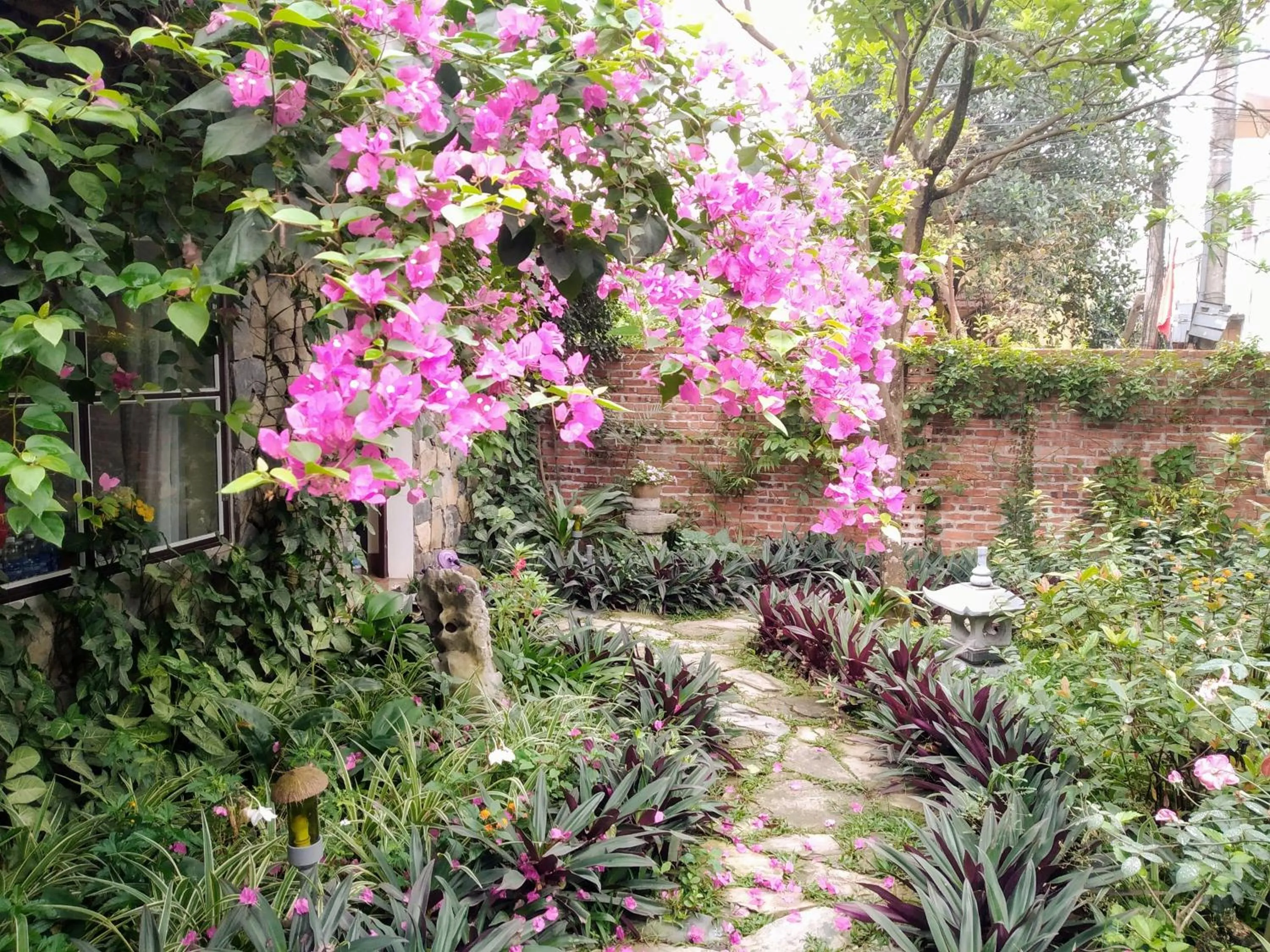 Mr. Viet home stay