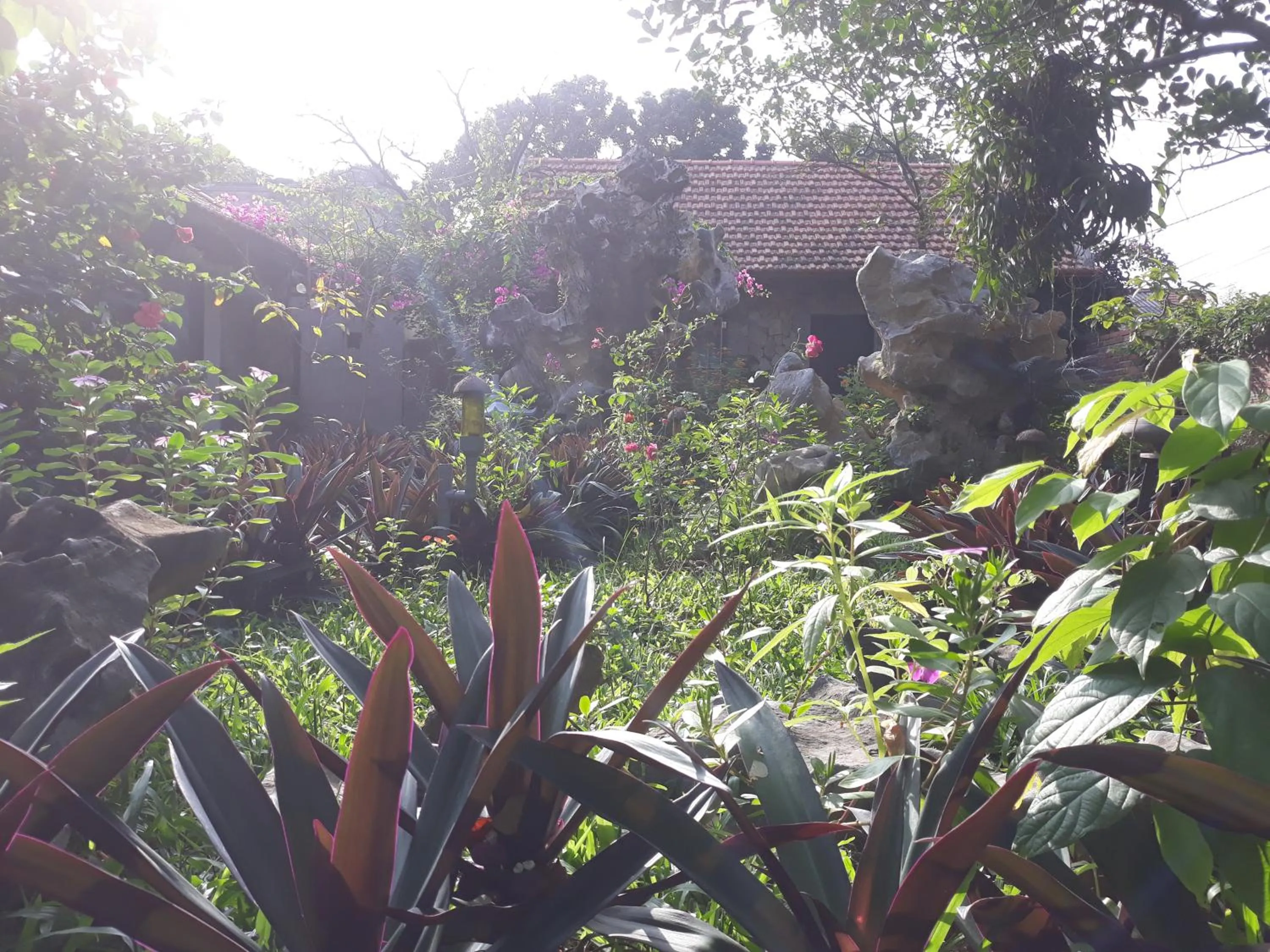 Mr. Viet home stay